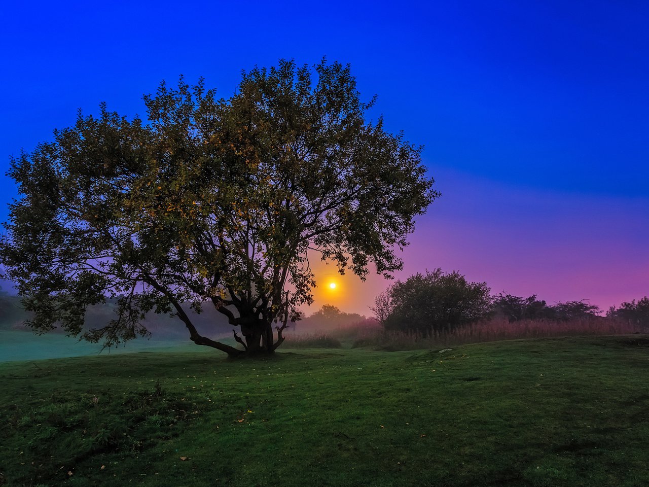 Обои вечер, природа, дерево, закат, пейзаж, сумерки, a w mcmahon, the evening, nature, tree, sunset, landscape, twilight разрешение 1920x1200 Загрузить