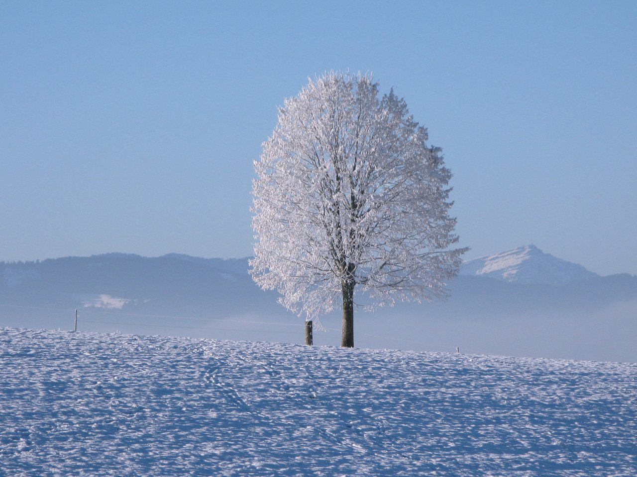 Обои горы, снег, дерево, зима, горизонт, холодно, mountains, snow, tree, winter, horizon, cold разрешение 3840x2400 Загрузить