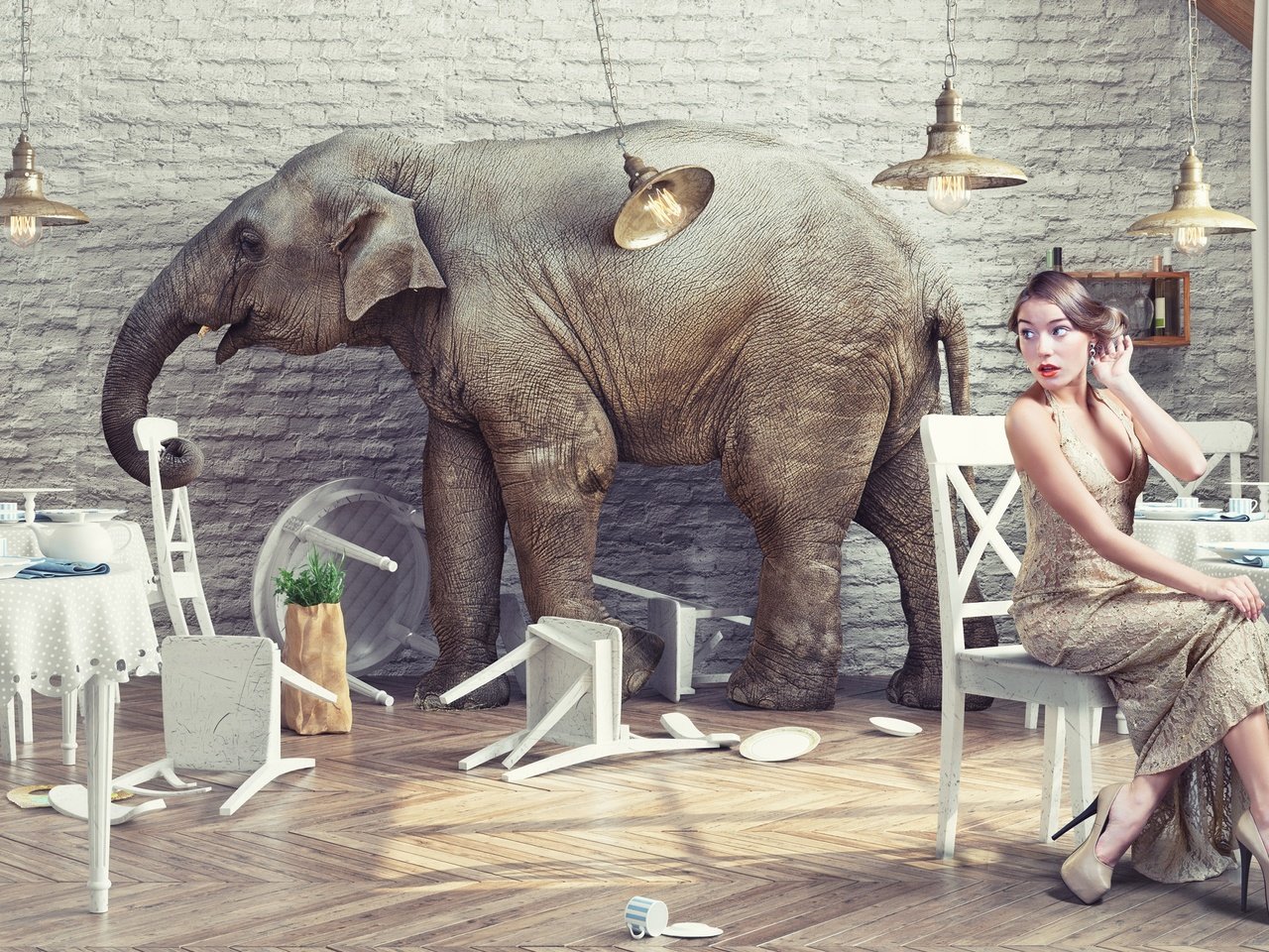 Обои девушка, слон, креатив, ресторан, girl, elephant, creative, restaurant разрешение 2880x1800 Загрузить