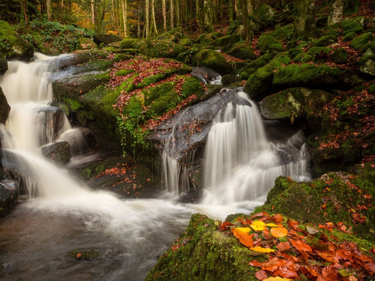 Обои река, природа, камни, лес, листья, водопад, осень, мох, river, nature, stones, forest, leaves, waterfall, autumn, moss разрешение 2880x1800 Загрузить