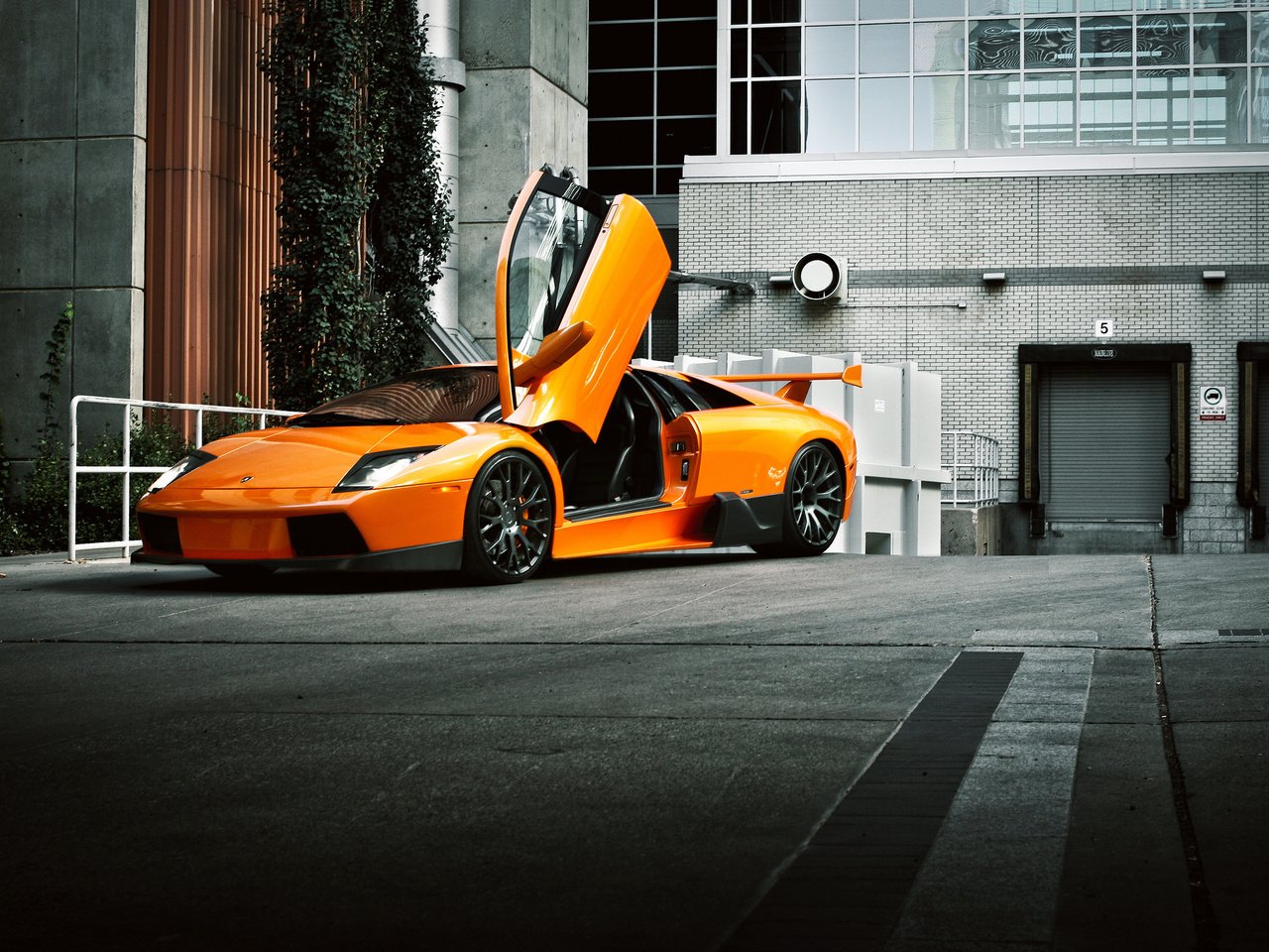 Обои апельсин, ламборгини, murcielago, ламборджини, передний, orange, lamborghini, front разрешение 2048x1365 Загрузить