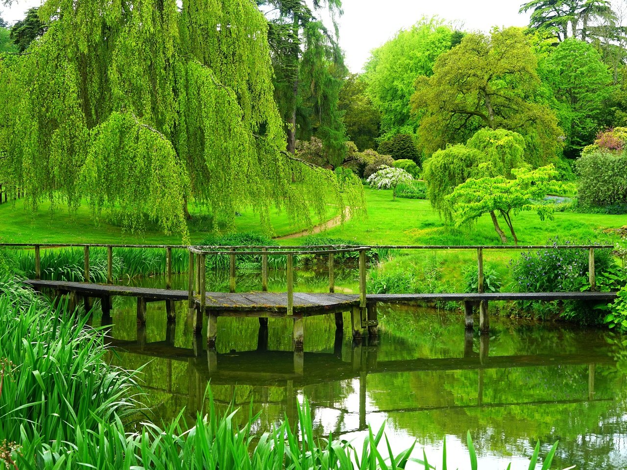 Обои деревья, река, мостик, парк, лето, англия, trees, river, the bridge, park, summer, england разрешение 3900x2600 Загрузить