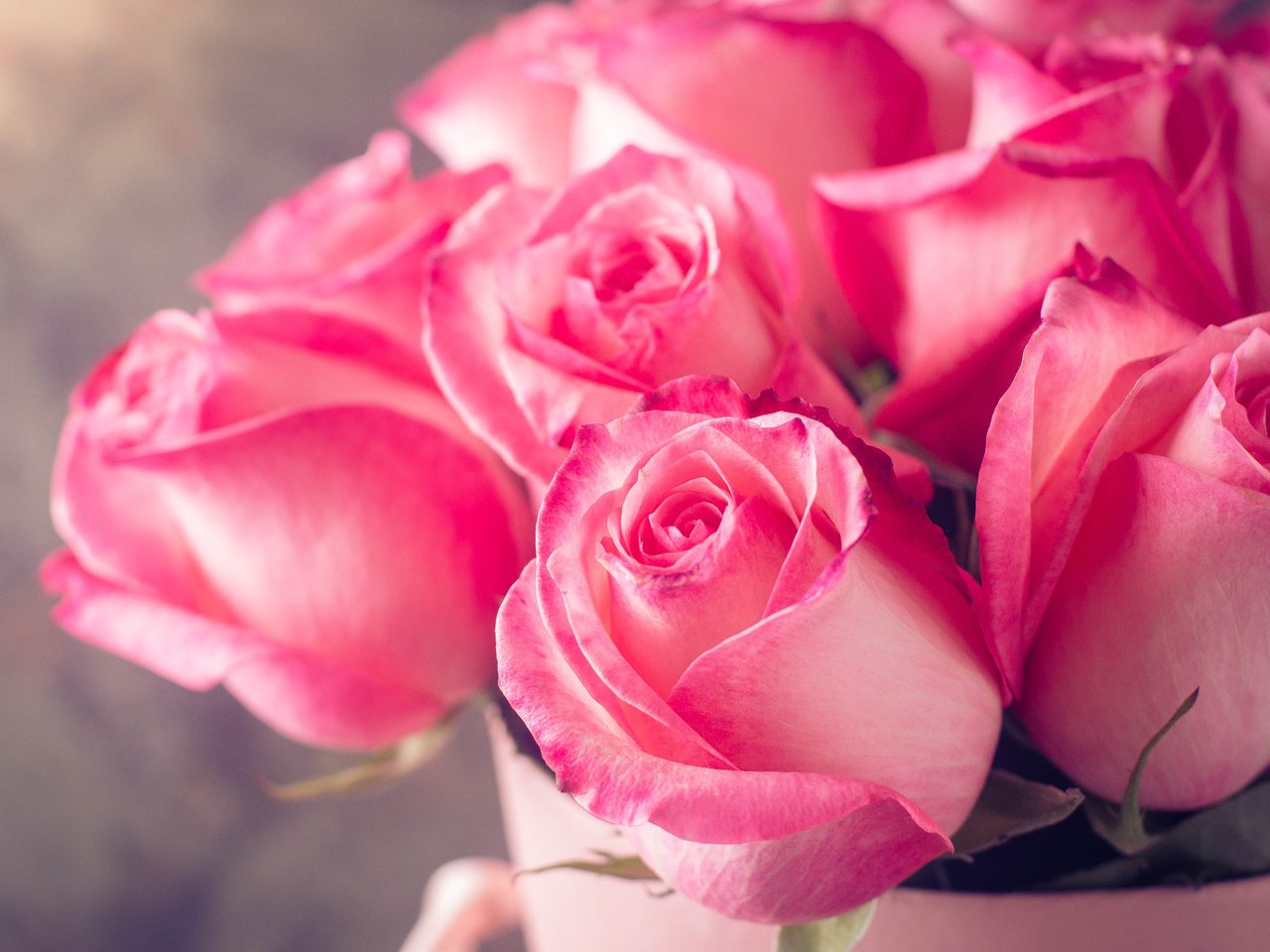 Обои цветы, бутоны, розы, лепестки, букет, розовые, flowers, buds, roses, petals, bouquet, pink разрешение 4000x2667 Загрузить