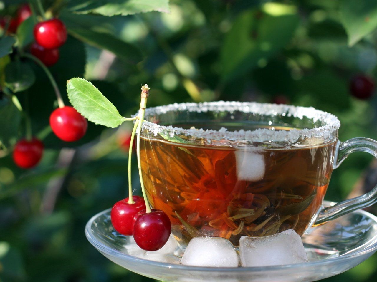 Обои листья, напиток, ягода, лёд, вишня, чашка, чай, leaves, drink, berry, ice, cherry, cup, tea разрешение 1920x1200 Загрузить