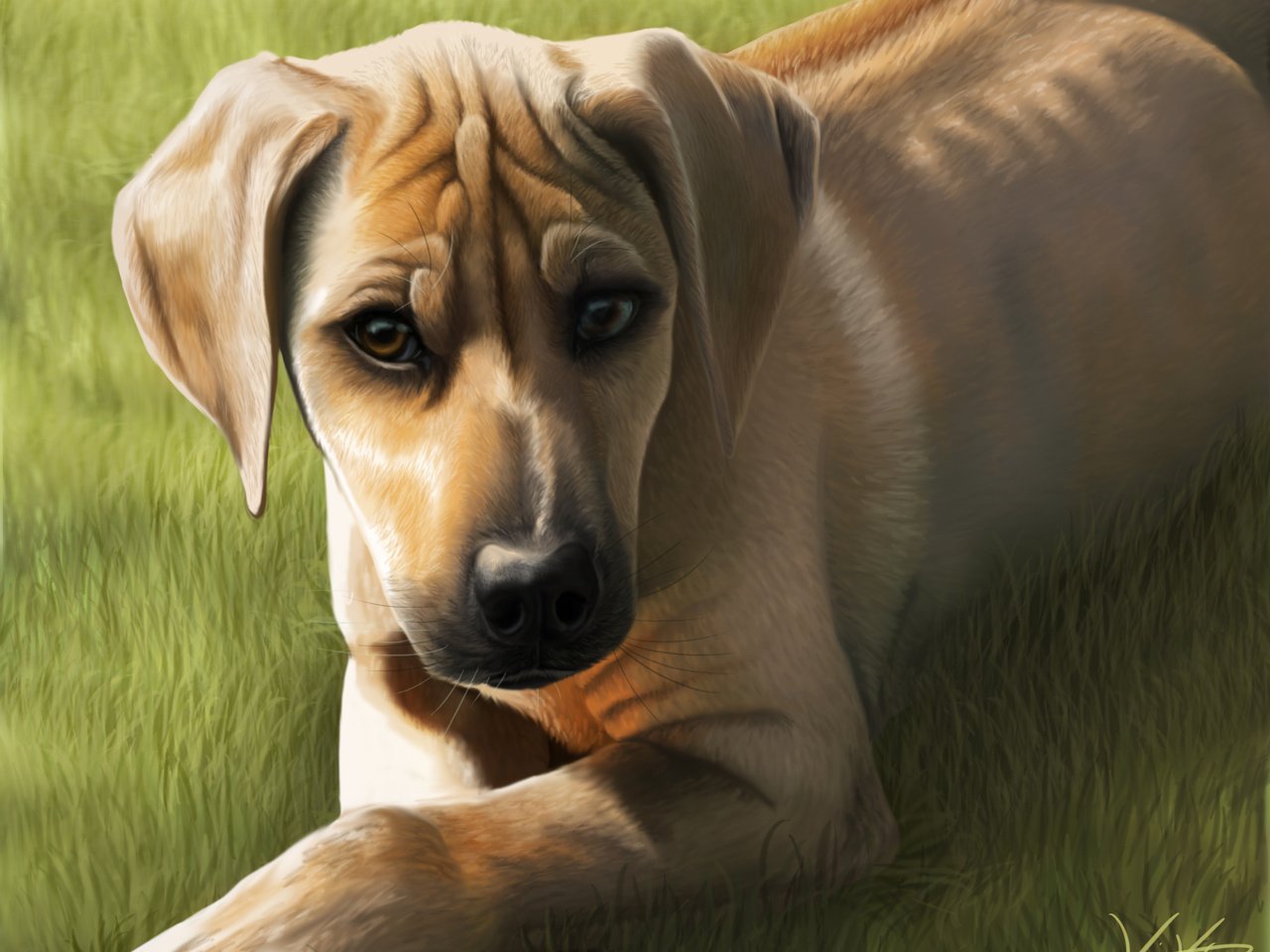 Обои арт, трава, мордочка, взгляд, собака, уши, art, grass, muzzle, look, dog, ears разрешение 2702x2235 Загрузить