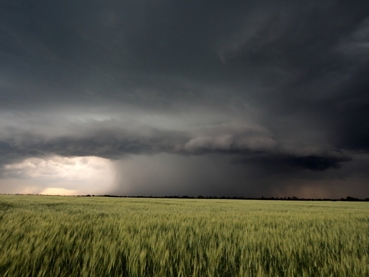 Обои природа, пейзаж, поле, лето, гроза, туча, nature, landscape, field, summer, the storm, cloud разрешение 1920x1080 Загрузить