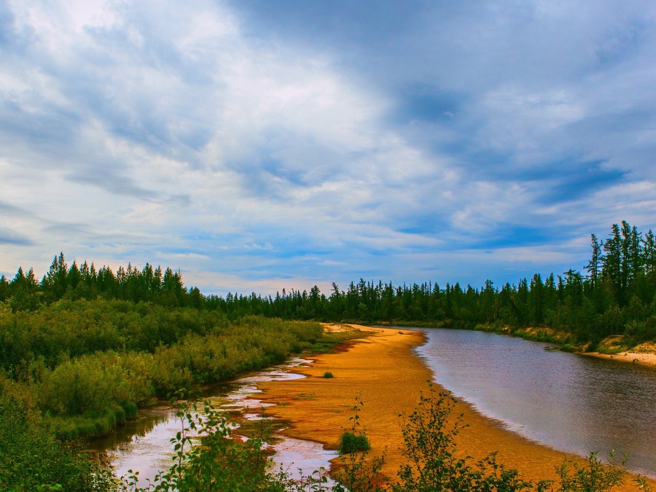 Обои вода, река, природа, берег, зелень, лес, елки, water, river, nature, shore, greens, forest, tree разрешение 1920x1200 Загрузить