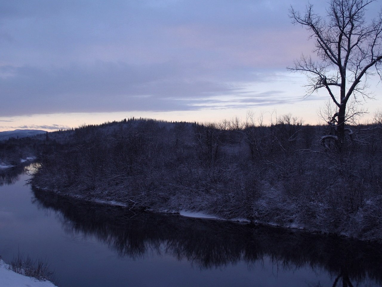 Обои деревья, река, снег, зима, trees, river, snow, winter разрешение 1920x1080 Загрузить