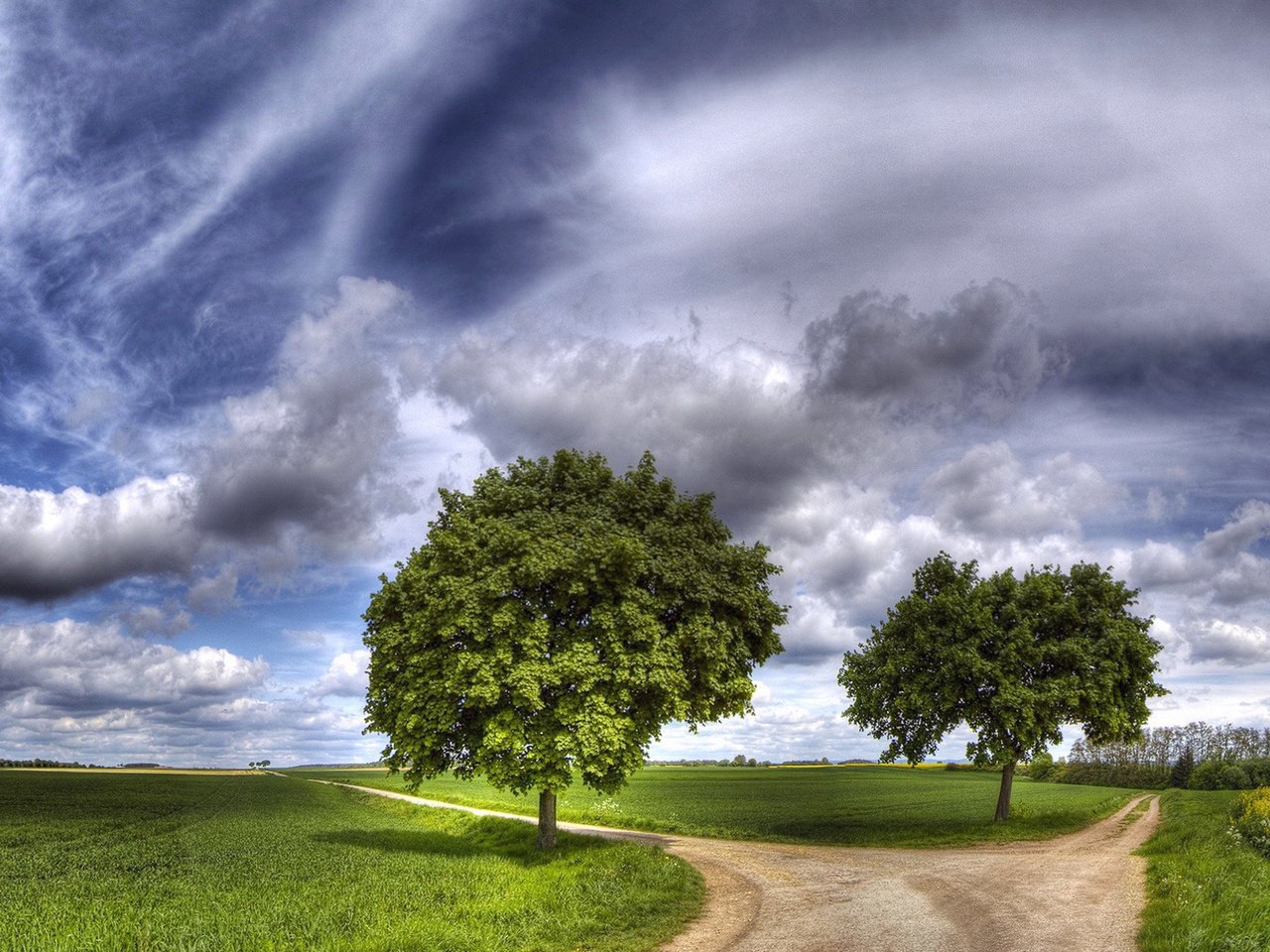 Обои небо, дорога, трава, облака, природа, зелень, пейзаж, луг, the sky, road, grass, clouds, nature, greens, landscape, meadow разрешение 1920x1080 Загрузить