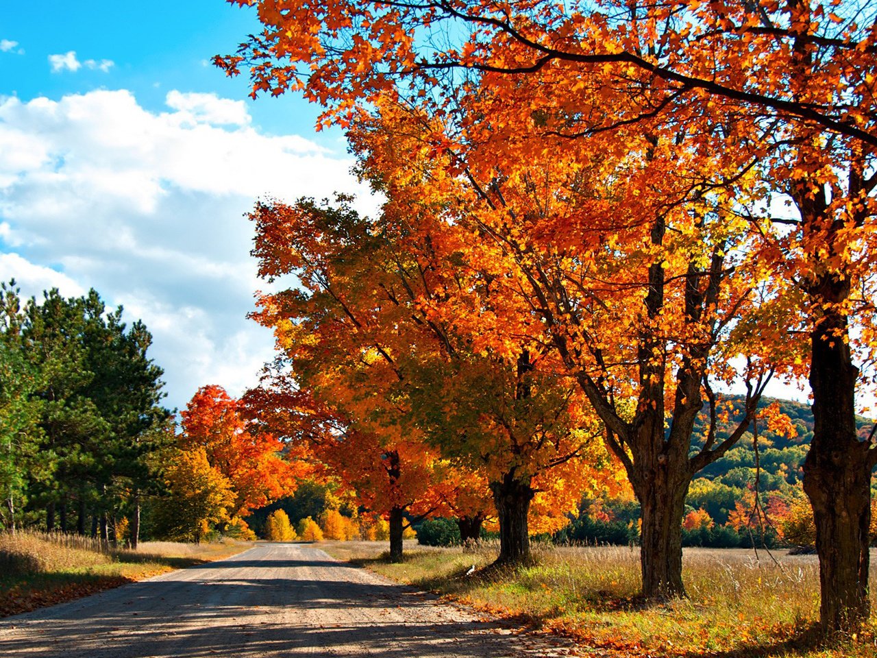 Обои небо, дорога, облака, деревья, природа, лес, осень, the sky, road, clouds, trees, nature, forest, autumn разрешение 1920x1080 Загрузить