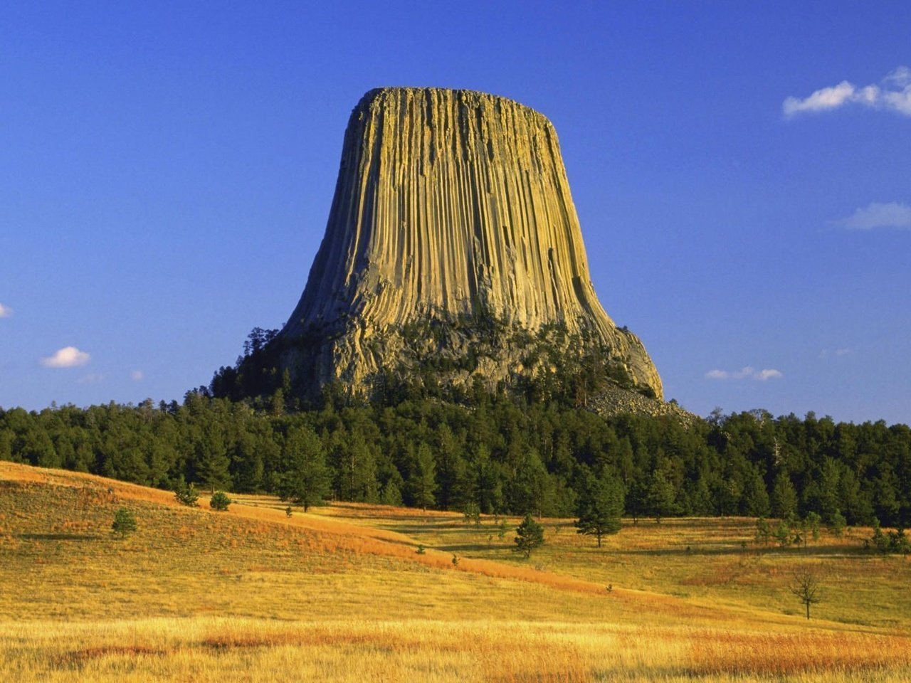 Обои деревья, осень, сша, плато, вайоминг, башня дьявола, trees, autumn, usa, plateau, wyoming, devil's tower разрешение 1920x1080 Загрузить