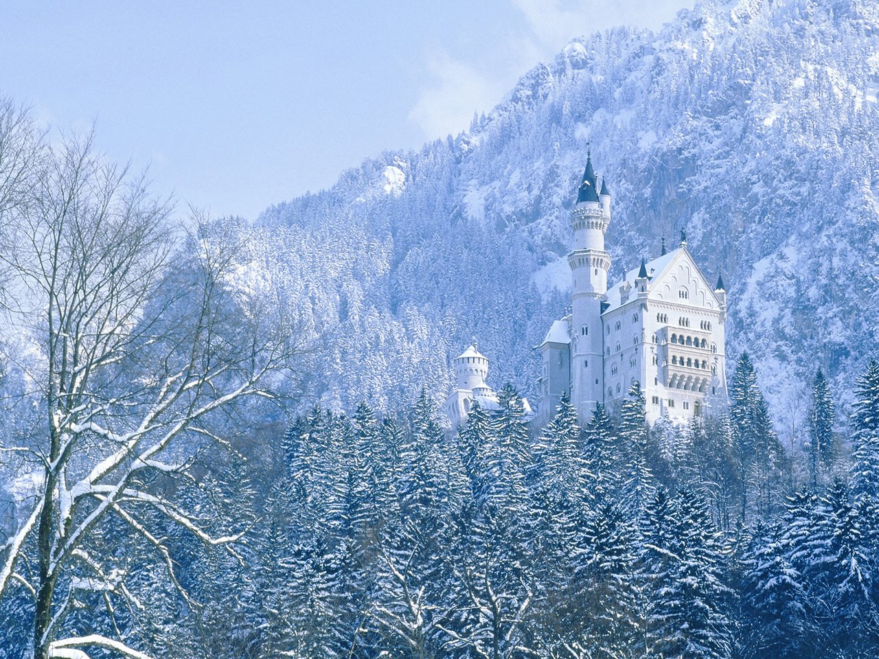 Обои деревья, горы, зима, замок, германия, нойшванштайн, trees, mountains, winter, castle, germany, neuschwanstein разрешение 1920x1080 Загрузить