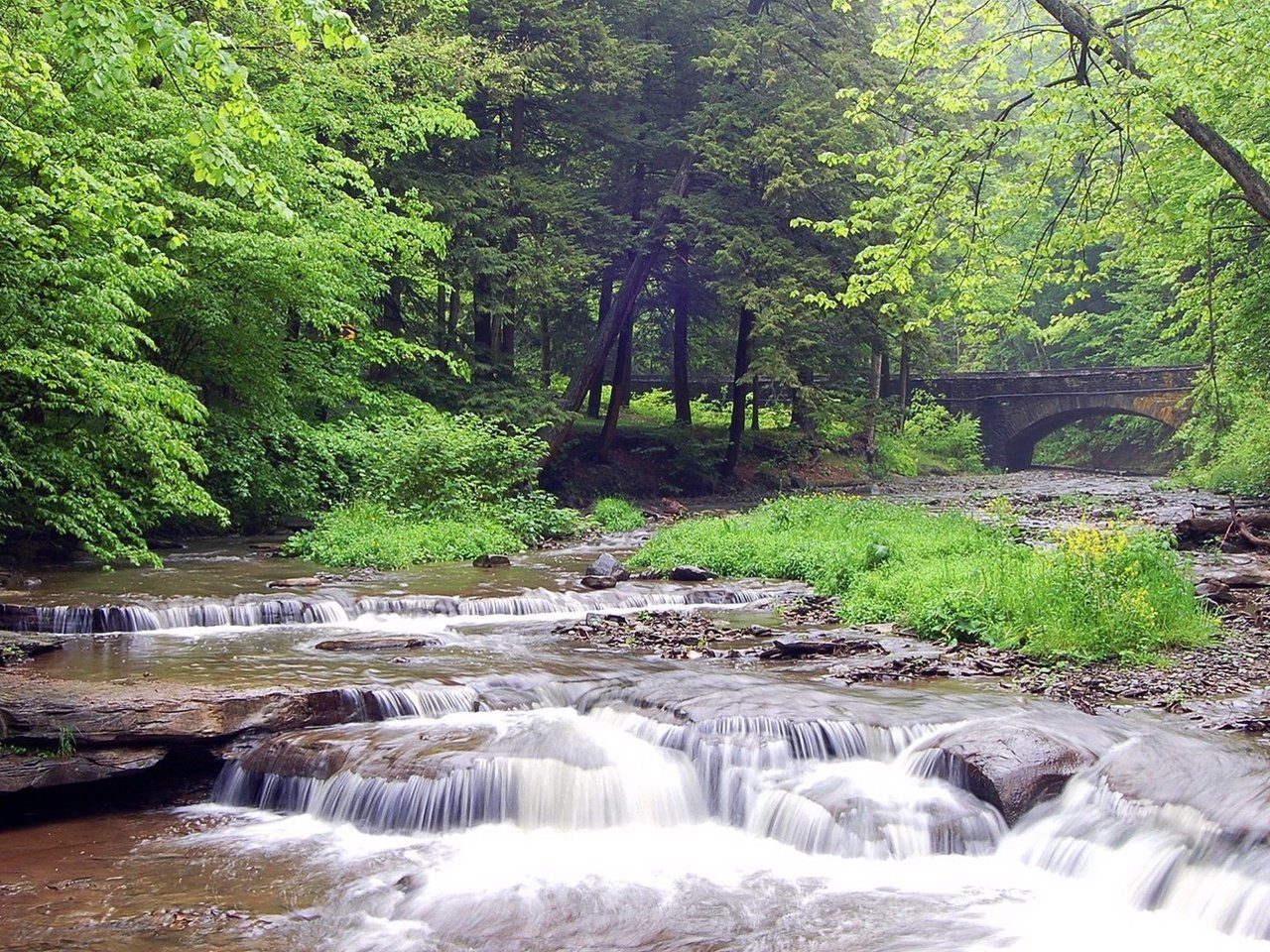 Обои река, камни, лес, мост, river, stones, forest, bridge разрешение 1920x1080 Загрузить