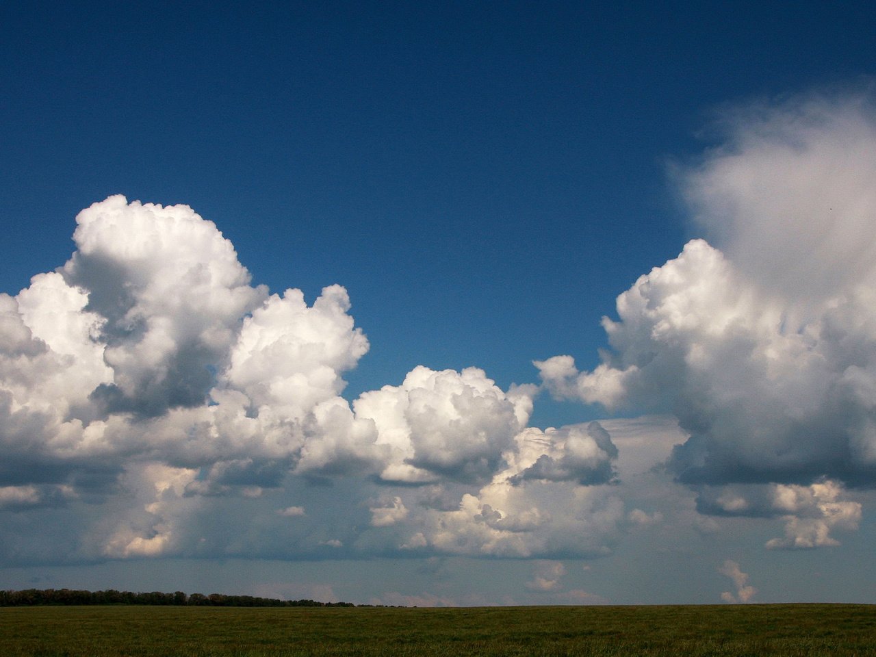 Обои небо, облака, поле, белый, голубой, ясное, the sky, clouds, field, white, blue, clear разрешение 1920x1080 Загрузить