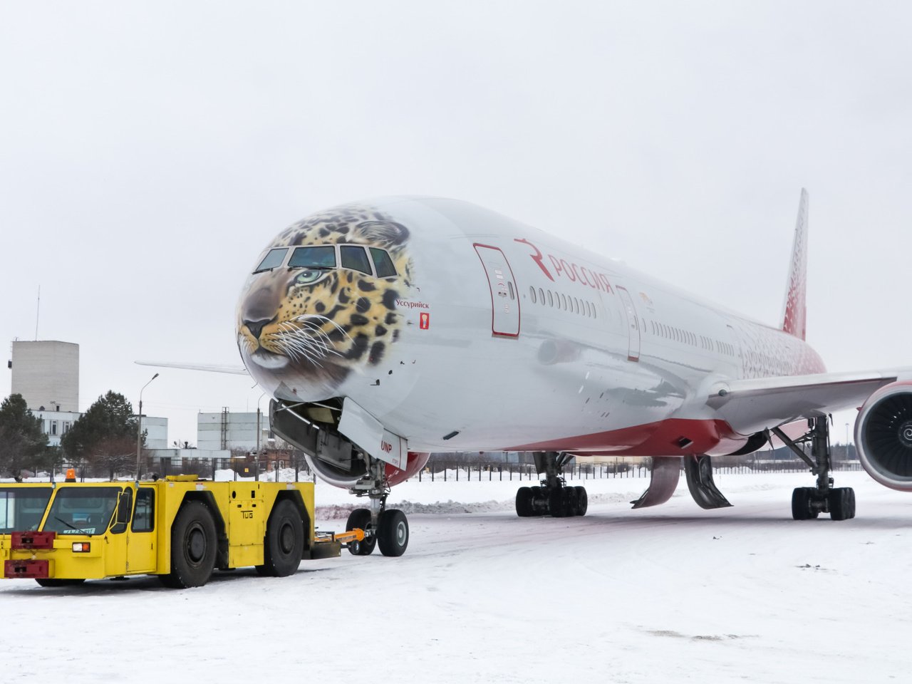 Обои тигр, пассажирский, снег, b-777, уссурийск, зима, самолет, россия, аэропорт, боинг, 300, 777, tiger, passenger, snow, ussuriysk, winter, the plane, russia, airport, boeing разрешение 2112x1188 Загрузить