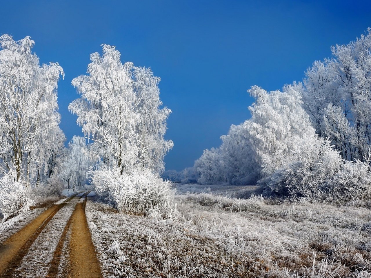 Обои дорога, иней, трава, деревья, снег, природа, зима, пейзаж, кусты, road, frost, grass, trees, snow, nature, winter, landscape, the bushes разрешение 1920x1080 Загрузить