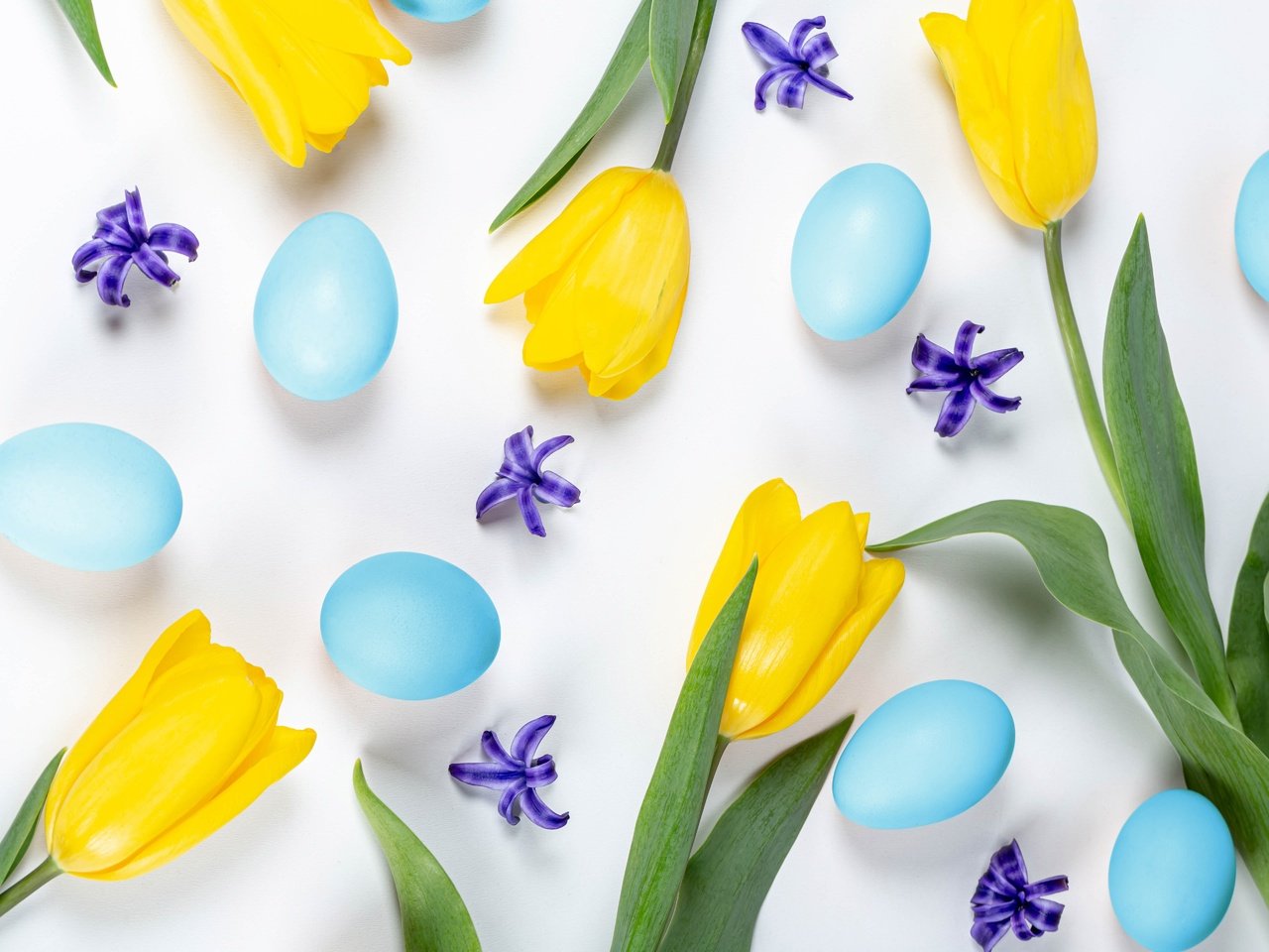 Обои тюльпаны, белый фон, пасха, яйца, желтые, tulips, white background, easter, eggs, yellow разрешение 5760x3840 Загрузить