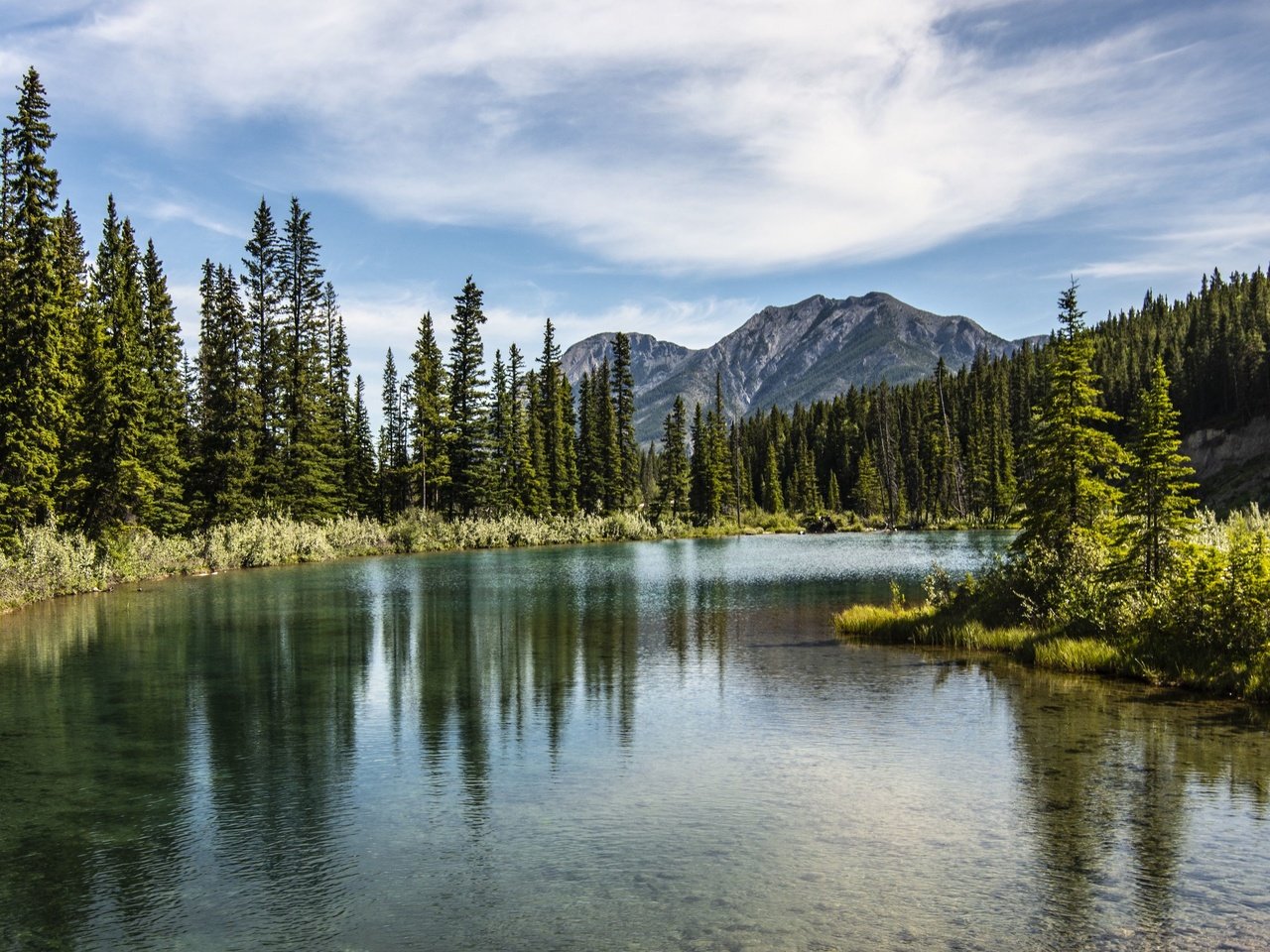 Обои деревья, озеро, горы, лес, вершины, trees, lake, mountains, forest, tops разрешение 3840x2160 Загрузить