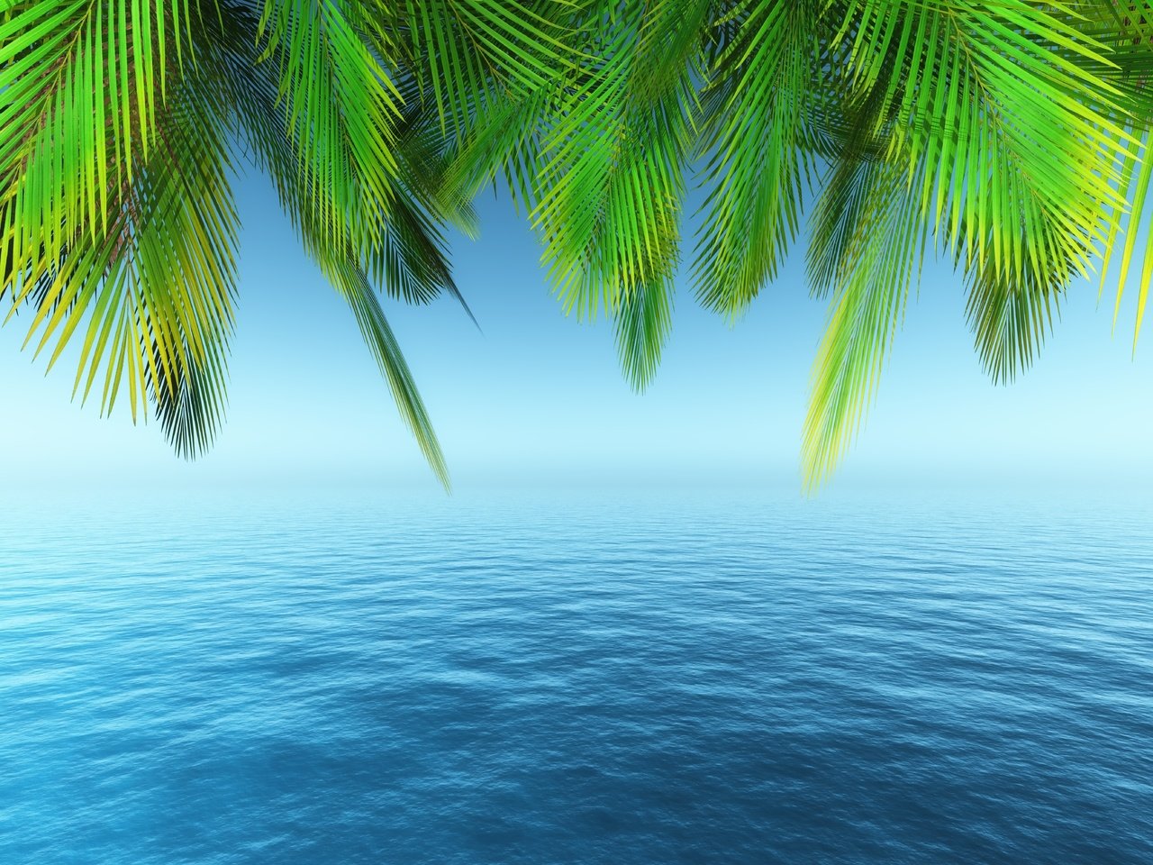 Обои море, лето, пальма, тропики, sea, summer, palma, tropics разрешение 6000x4500 Загрузить