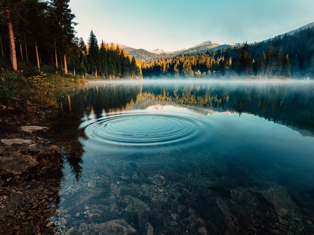 Обои небо, озеро, горы, природа, лес, утро, туман, круги, the sky, lake, mountains, nature, forest, morning, fog, circles разрешение 2560x1707 Загрузить