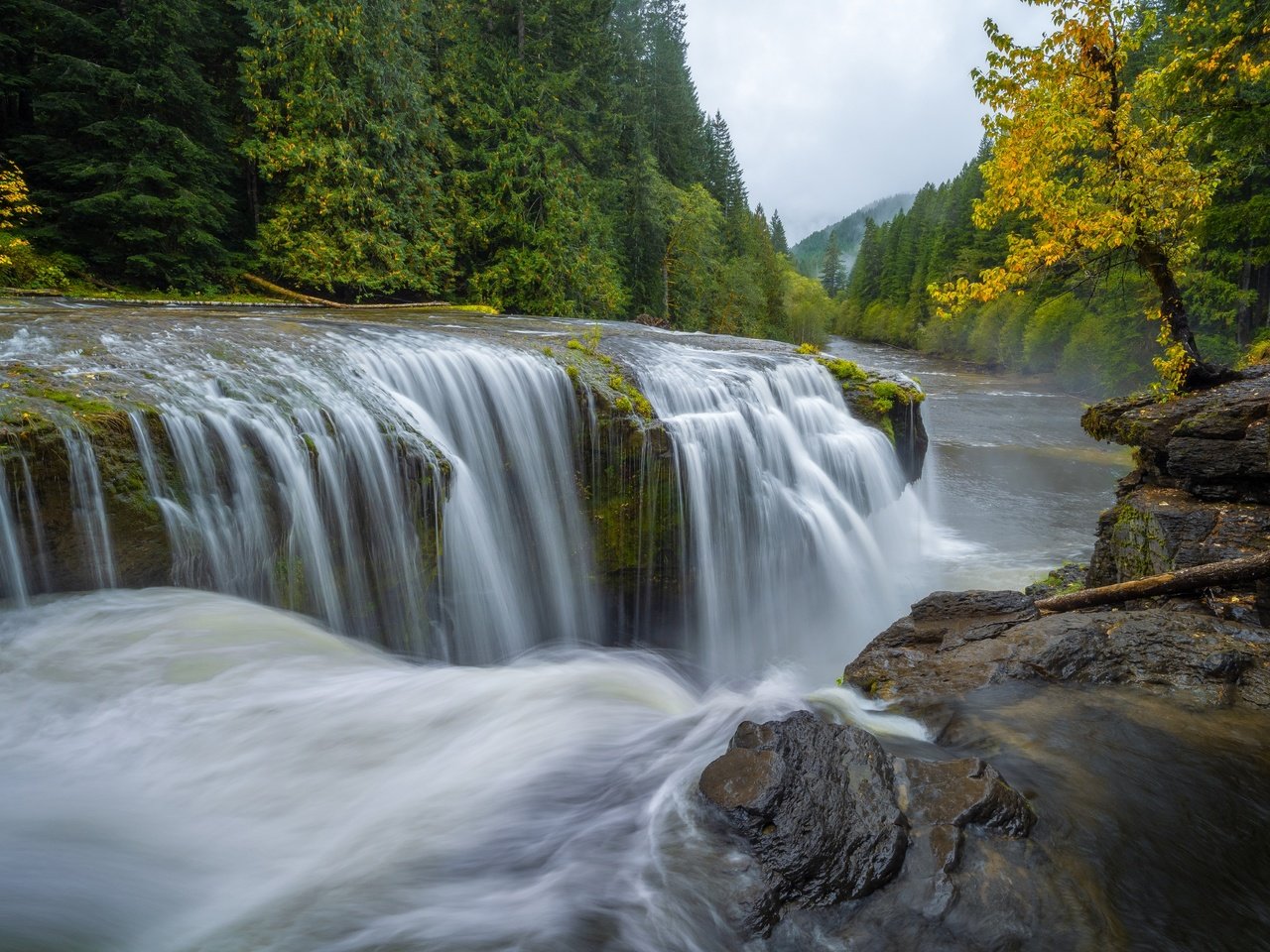 Обои река, лес, водопад, осень, каскад, штат вашингтон, штате вашингтон, lewis river, gifford pinchot национальный лес, gifford pinchot national forest, river, forest, waterfall, autumn, cascade, washington, washington state разрешение 4643x3096 Загрузить