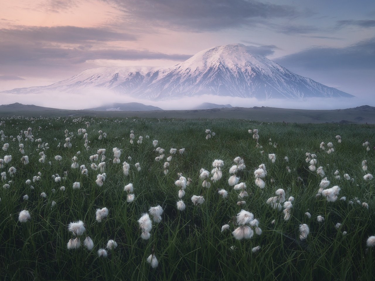 Обои трава, облака, природа, пейзаж, камчатка, луг, вулкан, пушица, grass, clouds, nature, landscape, kamchatka, meadow, the volcano, as cotton grass разрешение 2400x1599 Загрузить