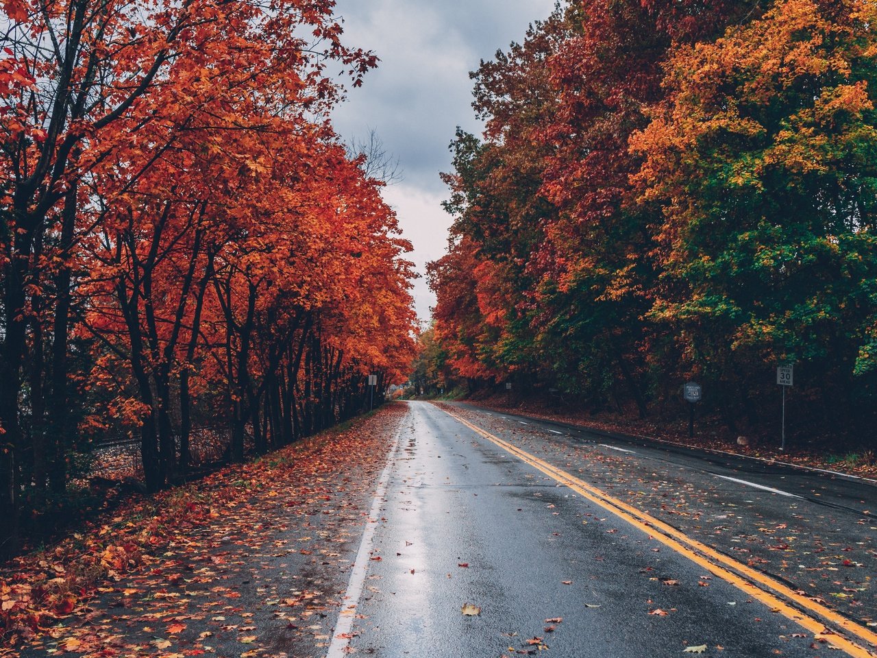 Обои дорога, деревья, листья, осень, листопад, road, trees, leaves, autumn, falling leaves разрешение 5472x3648 Загрузить