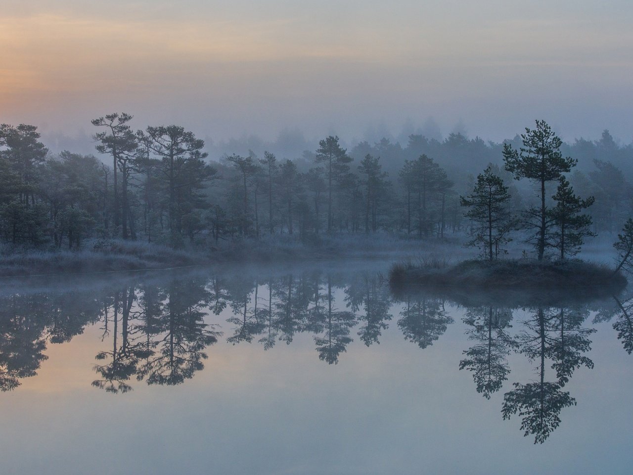 Обои деревья, озеро, скала, туман, островок, trees, lake, rock, fog, island разрешение 2880x1800 Загрузить