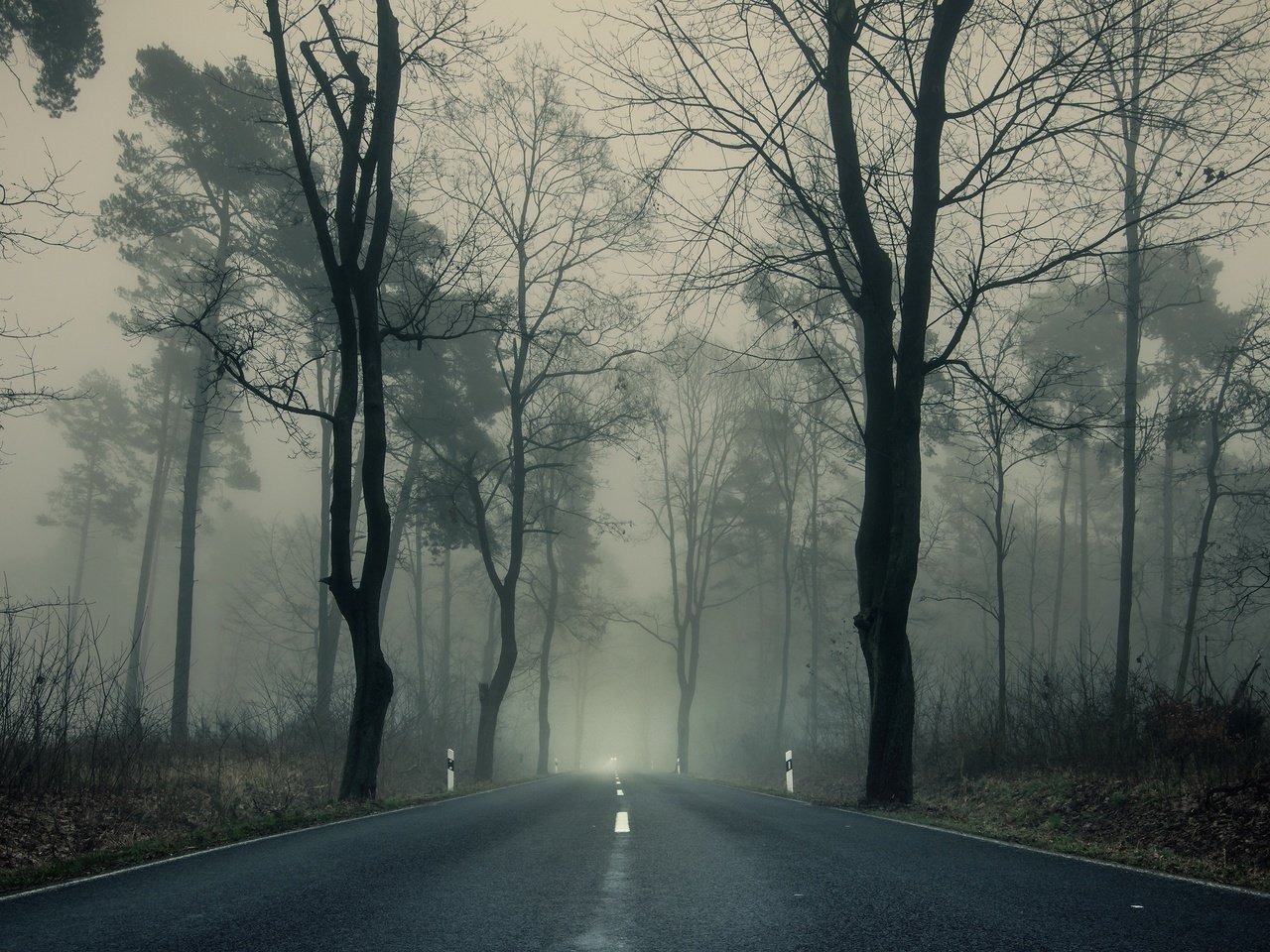 Обои дорога, деревья, парк, туман, ветки, осень, пасмурно, шоссе, road, trees, park, fog, branches, autumn, overcast, highway разрешение 3840x2160 Загрузить