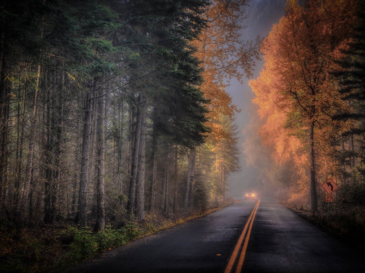 Обои дорога, лес, осень, road, forest, autumn разрешение 2048x1370 Загрузить