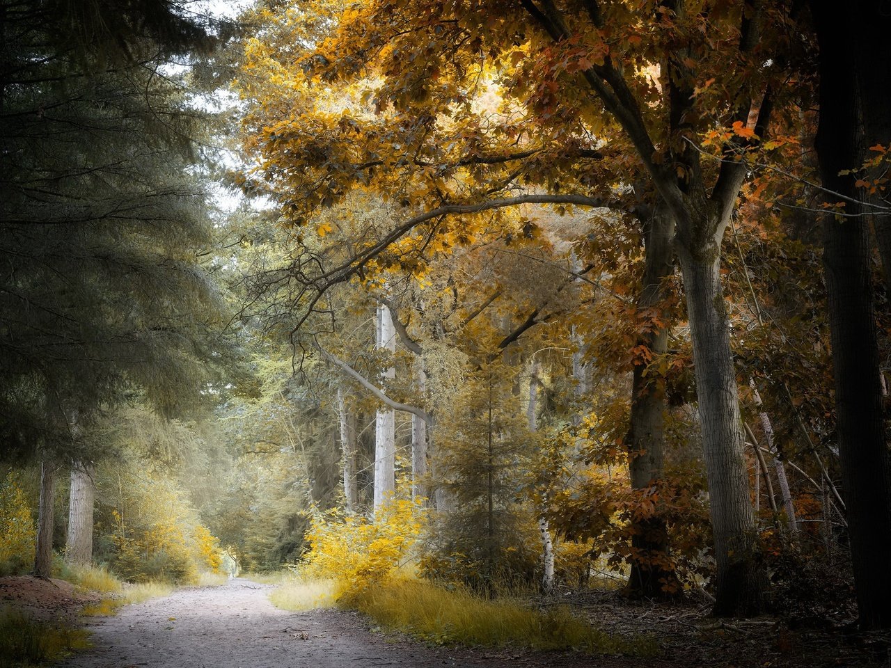 Обои дорога, парк, осень, road, park, autumn разрешение 2048x1300 Загрузить