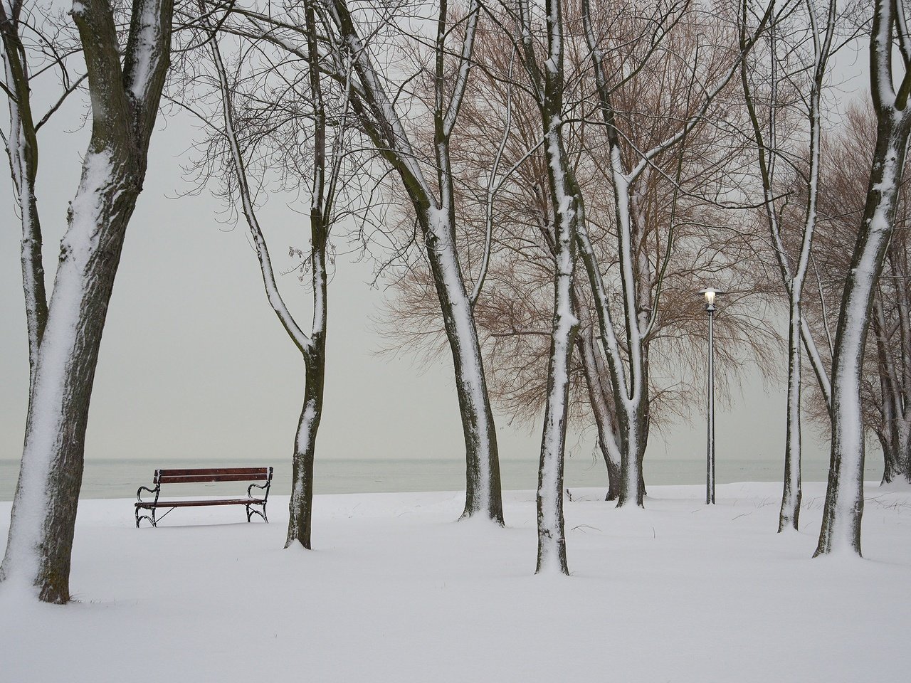 Обои река, берег, зима, скамья, river, shore, winter, bench разрешение 2048x1367 Загрузить