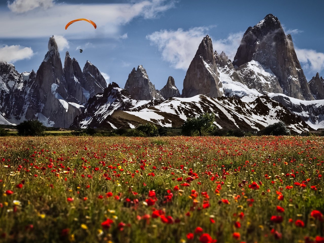 Обои цветы, горы, швейцария, маки, луга, парапланерист, flowers, mountains, switzerland, maki, meadows, paraglider разрешение 3840x2160 Загрузить