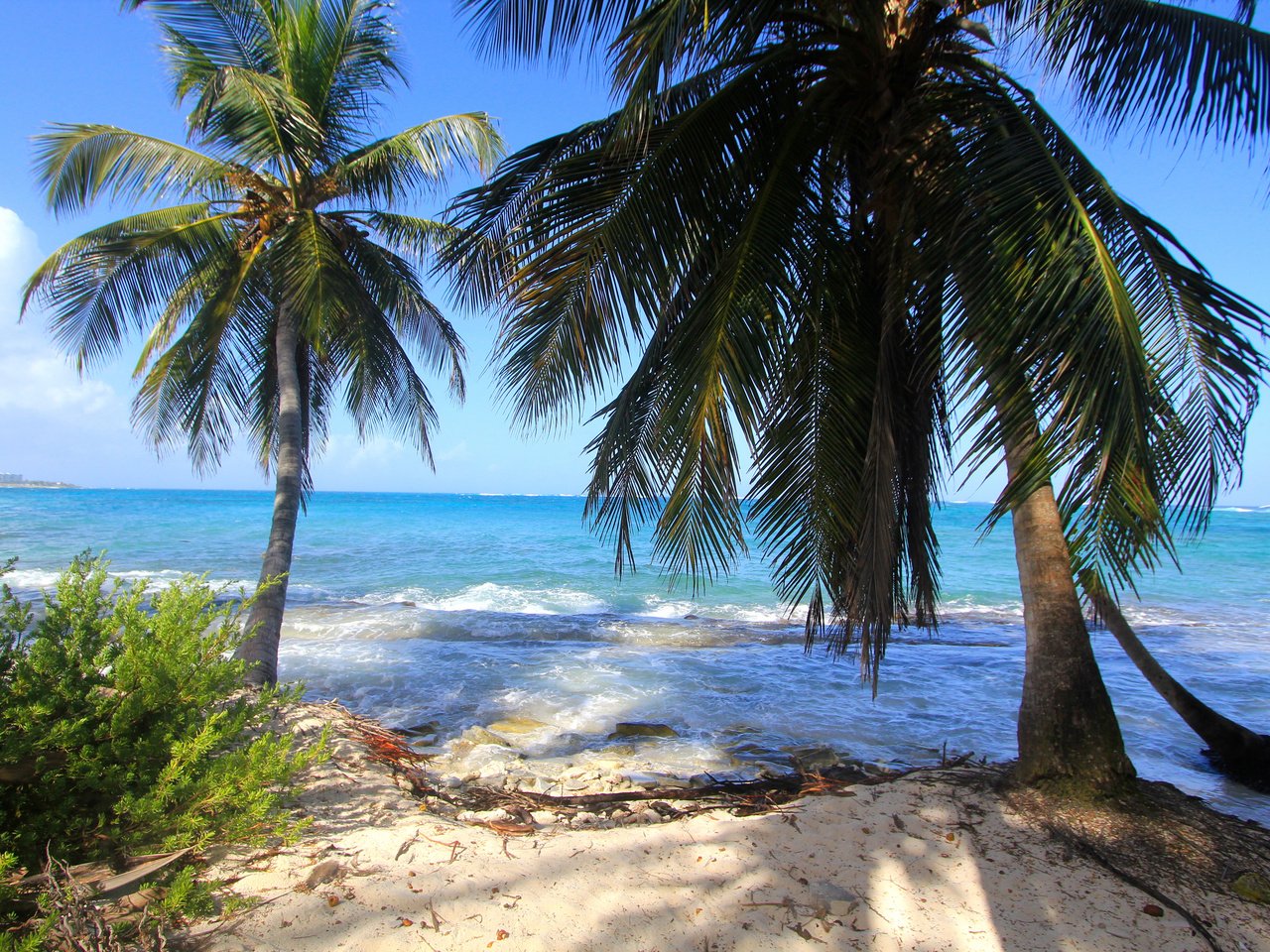 Обои пальмы, океан, тропический остров, palm trees, the ocean разрешение 4500x3000 Загрузить