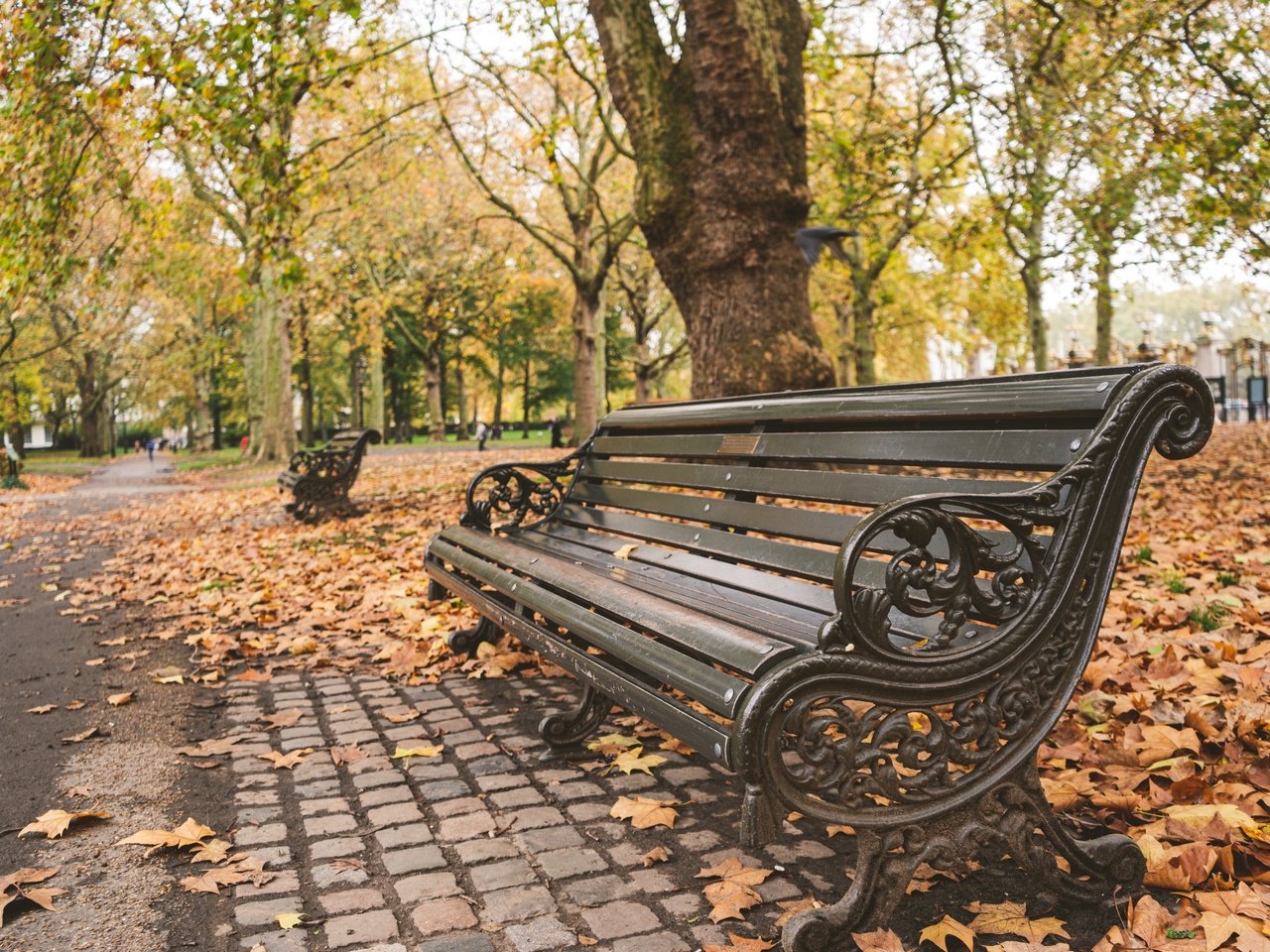 Обои деревья, листья, парк, осень, скамейка, trees, leaves, park, autumn, bench разрешение 6000x4000 Загрузить