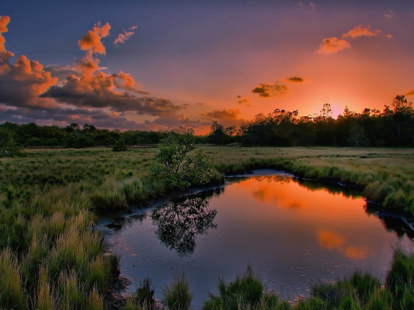 Обои трава, вода, природа, дерево, закат, отражение, лужа, grass, water, nature, tree, sunset, reflection, puddle разрешение 1920x1200 Загрузить