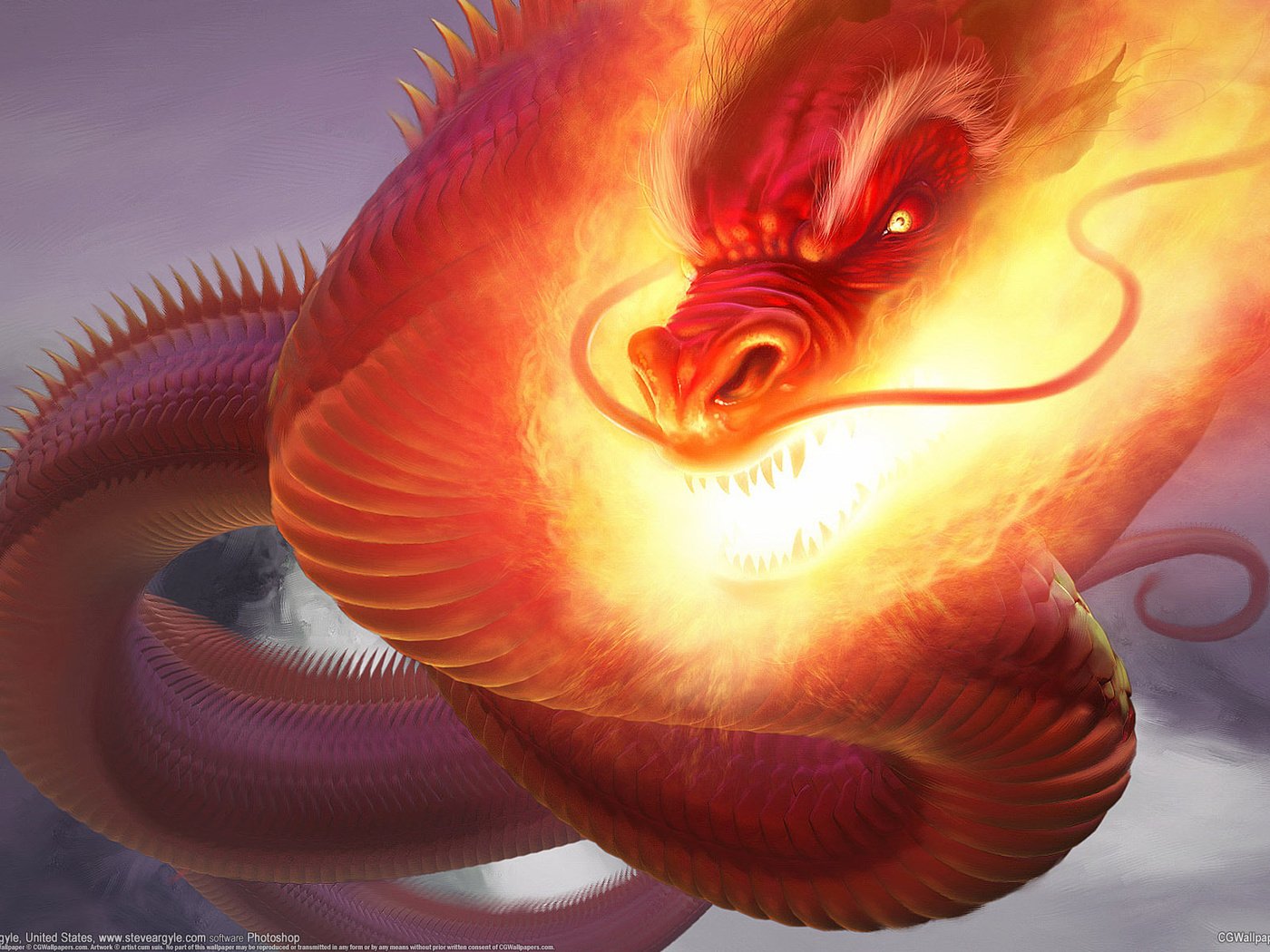 Обои дракон, огонь, змей, fire dragon, steve argyle, cg wallpapers, dragon, fire, snakes разрешение 1920x1200 Загрузить