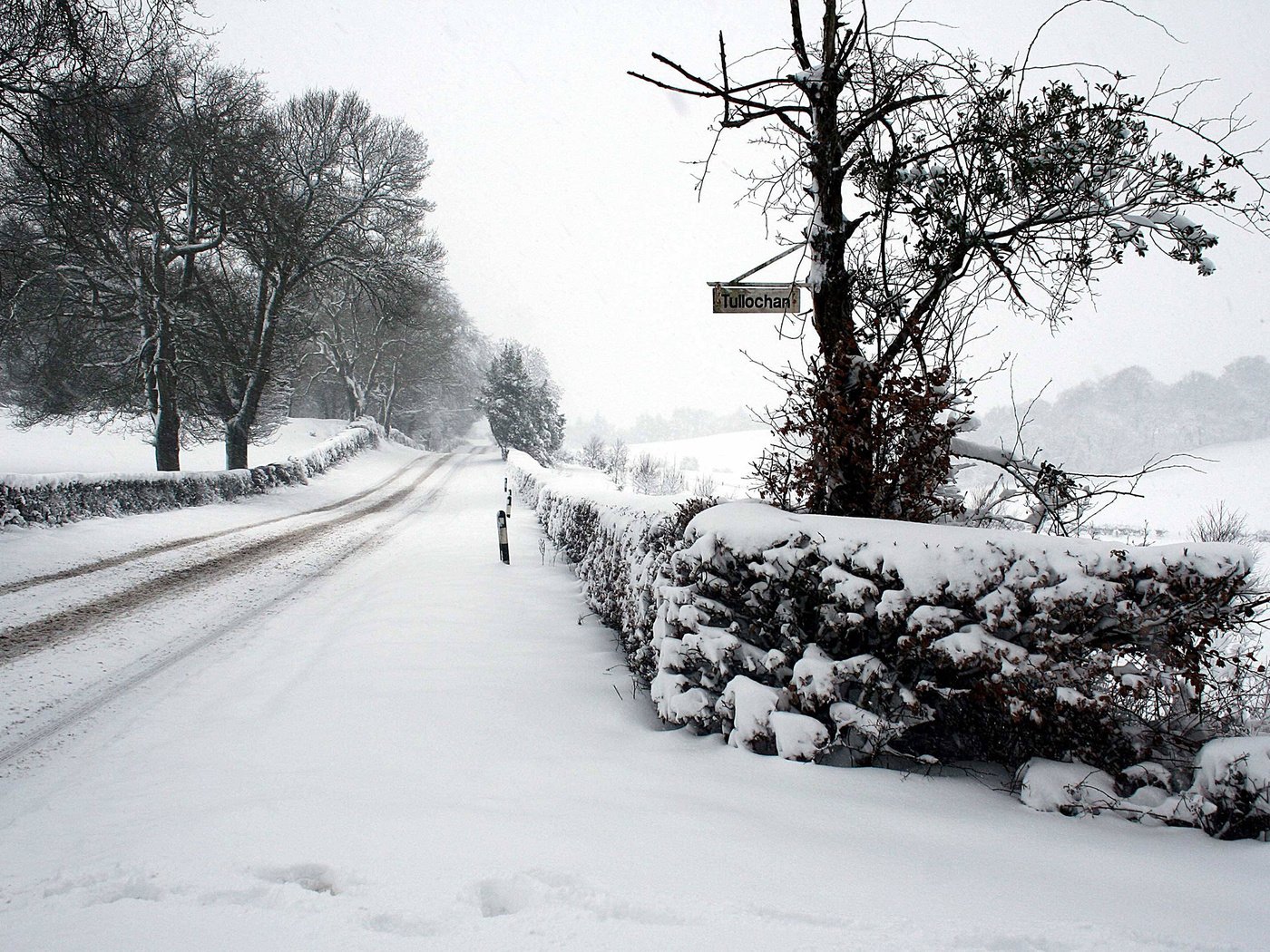 Обои дорога, снег, зима, road, snow, winter разрешение 2560x1600 Загрузить