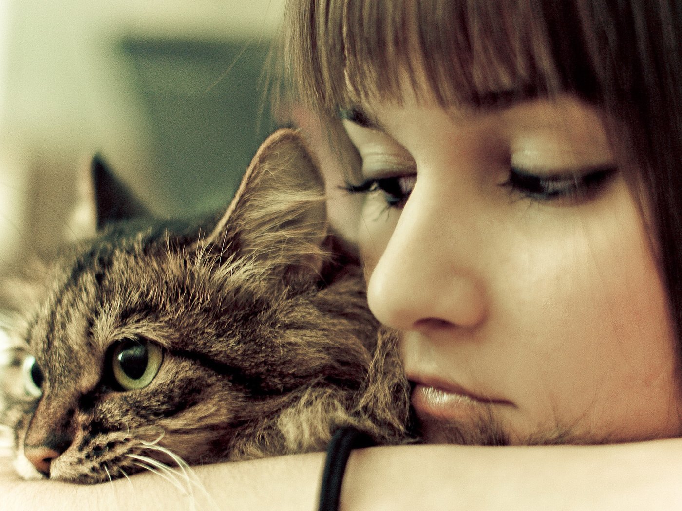 Обои девушка, портрет, кошка, взгляд, лицо, печаль, girl, portrait, cat, look, face, sadness разрешение 1920x1200 Загрузить