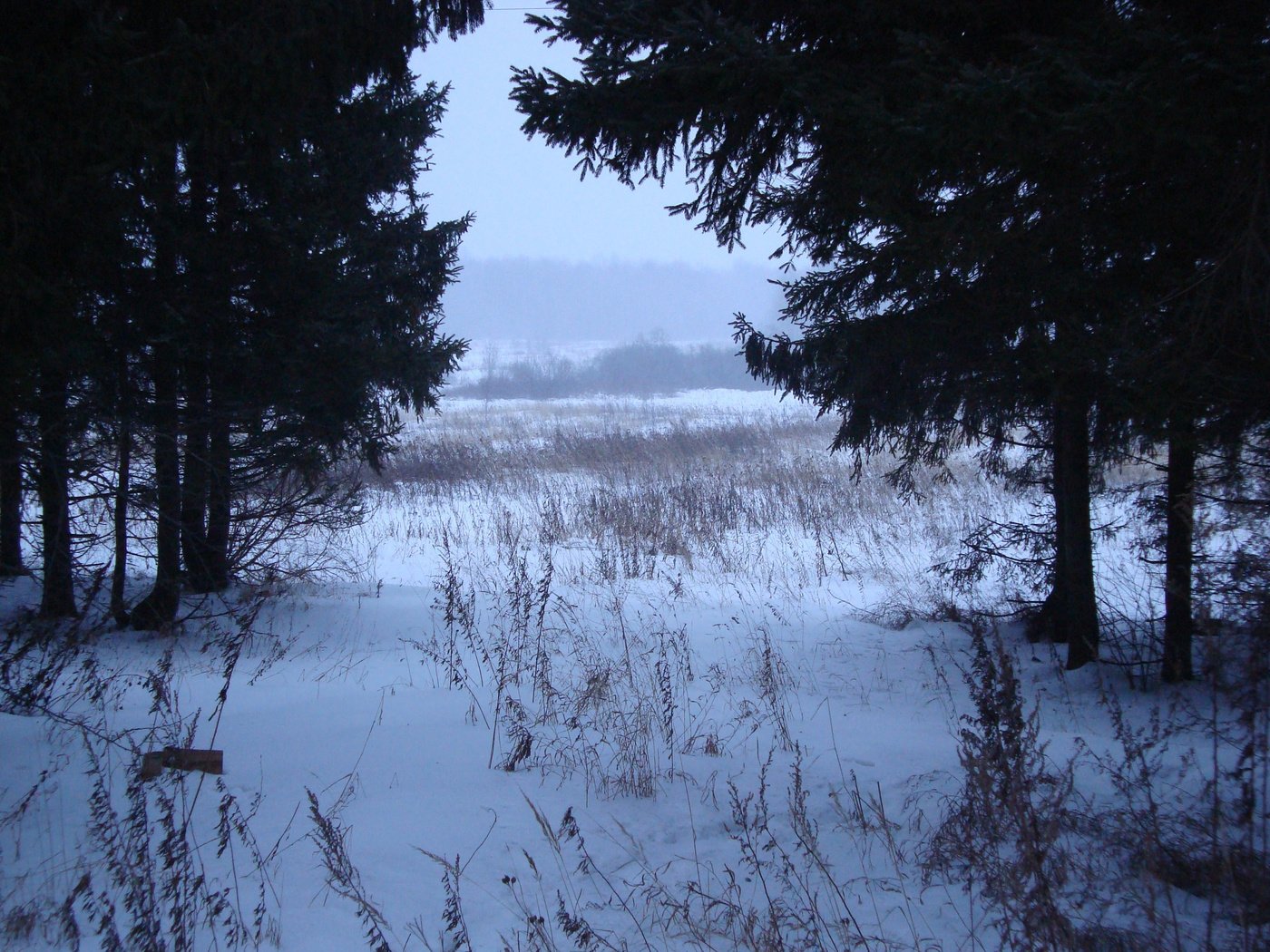 Обои деревья, снег, зима, trees, snow, winter разрешение 3072x2304 Загрузить