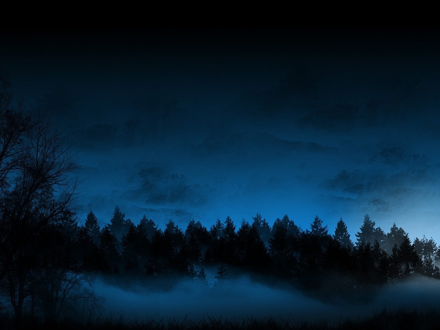 Обои ночь, лес, туман, night, forest, fog разрешение 1920x1200 Загрузить