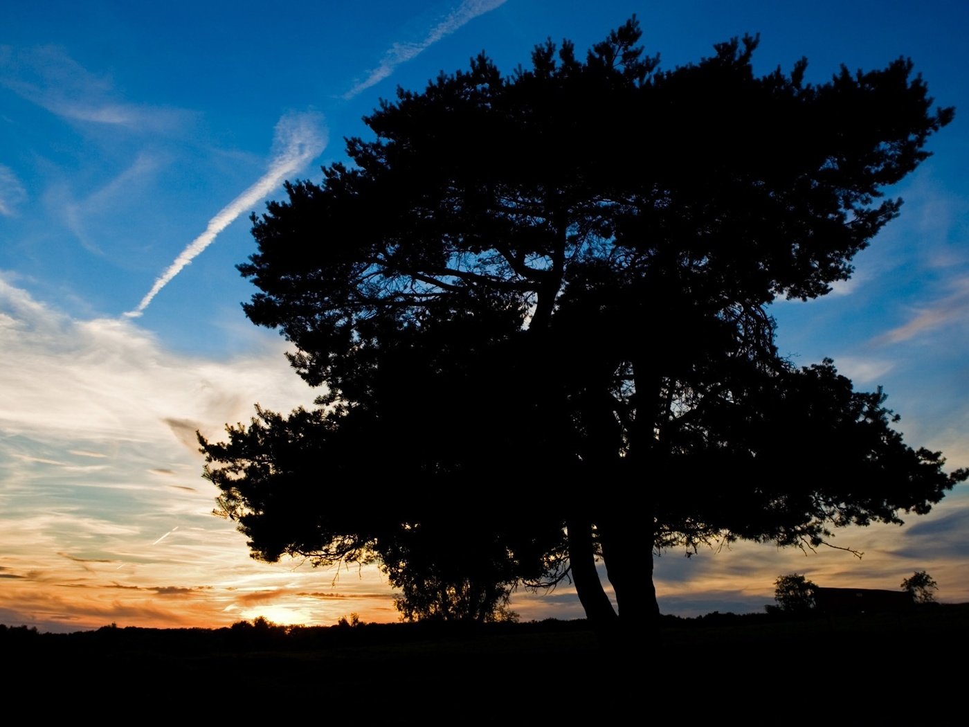 Обои небо, дерево, закат, тень, the sky, tree, sunset, shadow разрешение 1920x1200 Загрузить