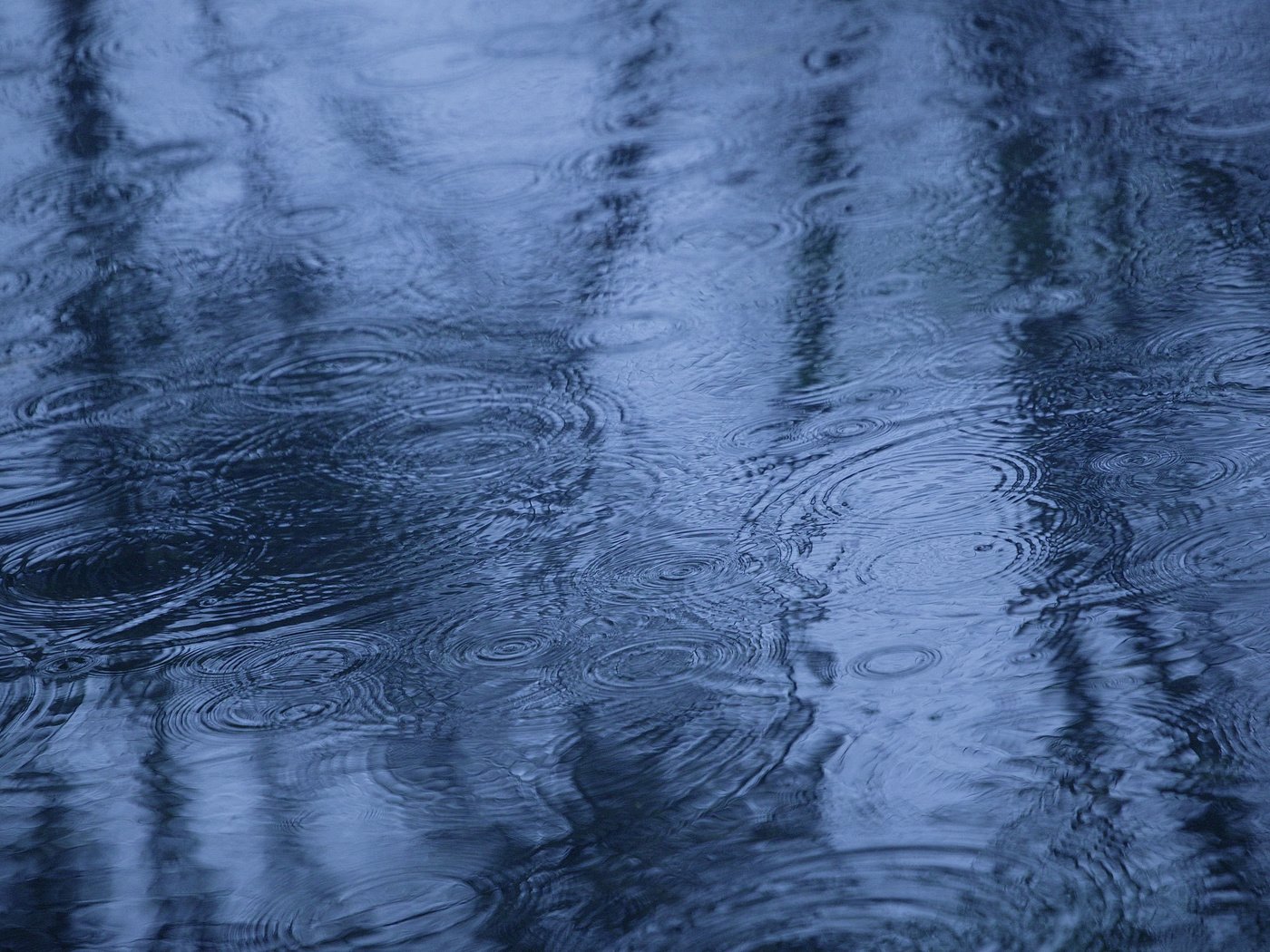 Обои вода, отражение, осень, дождь, лужа, water, reflection, autumn, rain, puddle разрешение 2560x1600 Загрузить