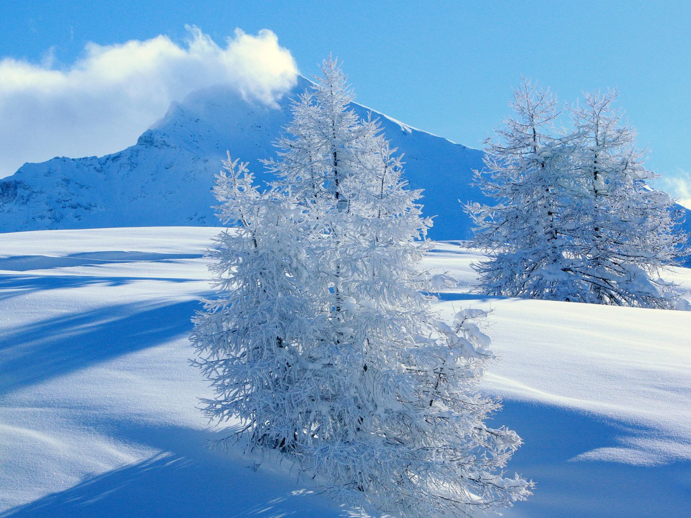 Обои горы, снег, ель, mountains, snow, spruce разрешение 1920x1200 Загрузить