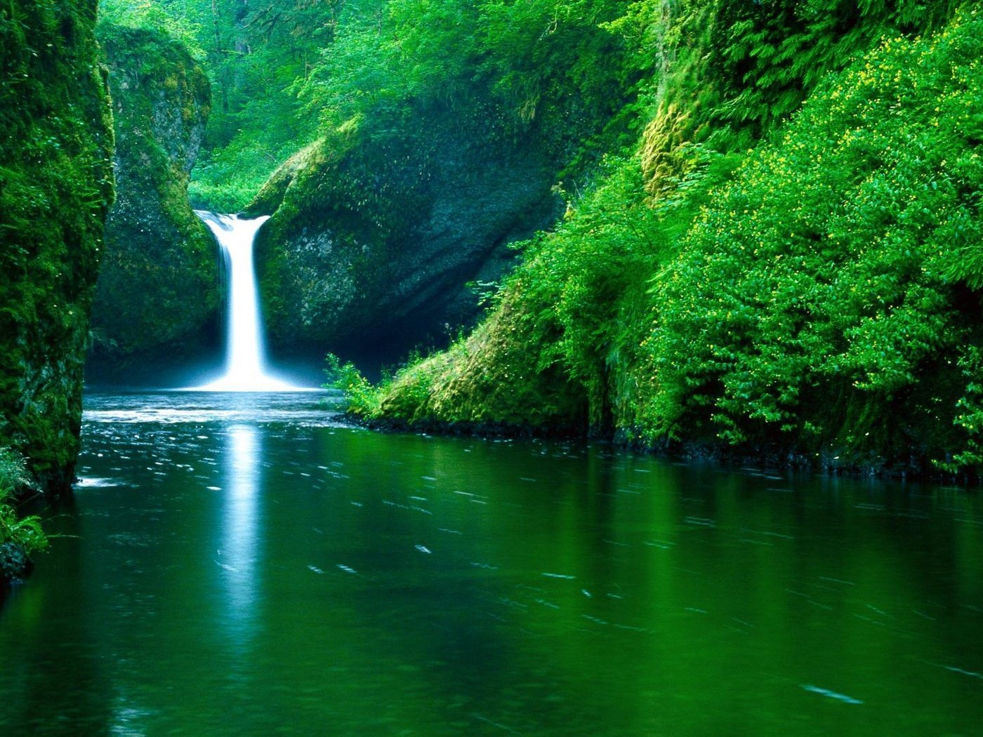 Обои река, зелень, водопад, river, greens, waterfall разрешение 1920x1080 Загрузить