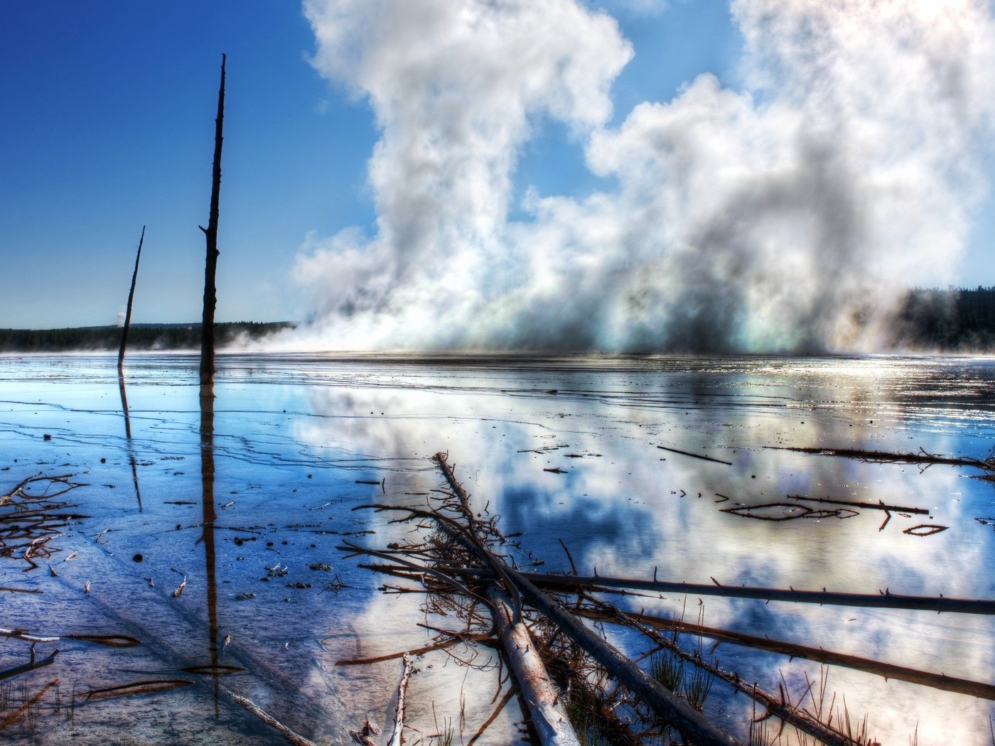 Обои лес, пар, йеллоустон, forest, couples, yellowstone разрешение 2560x1600 Загрузить