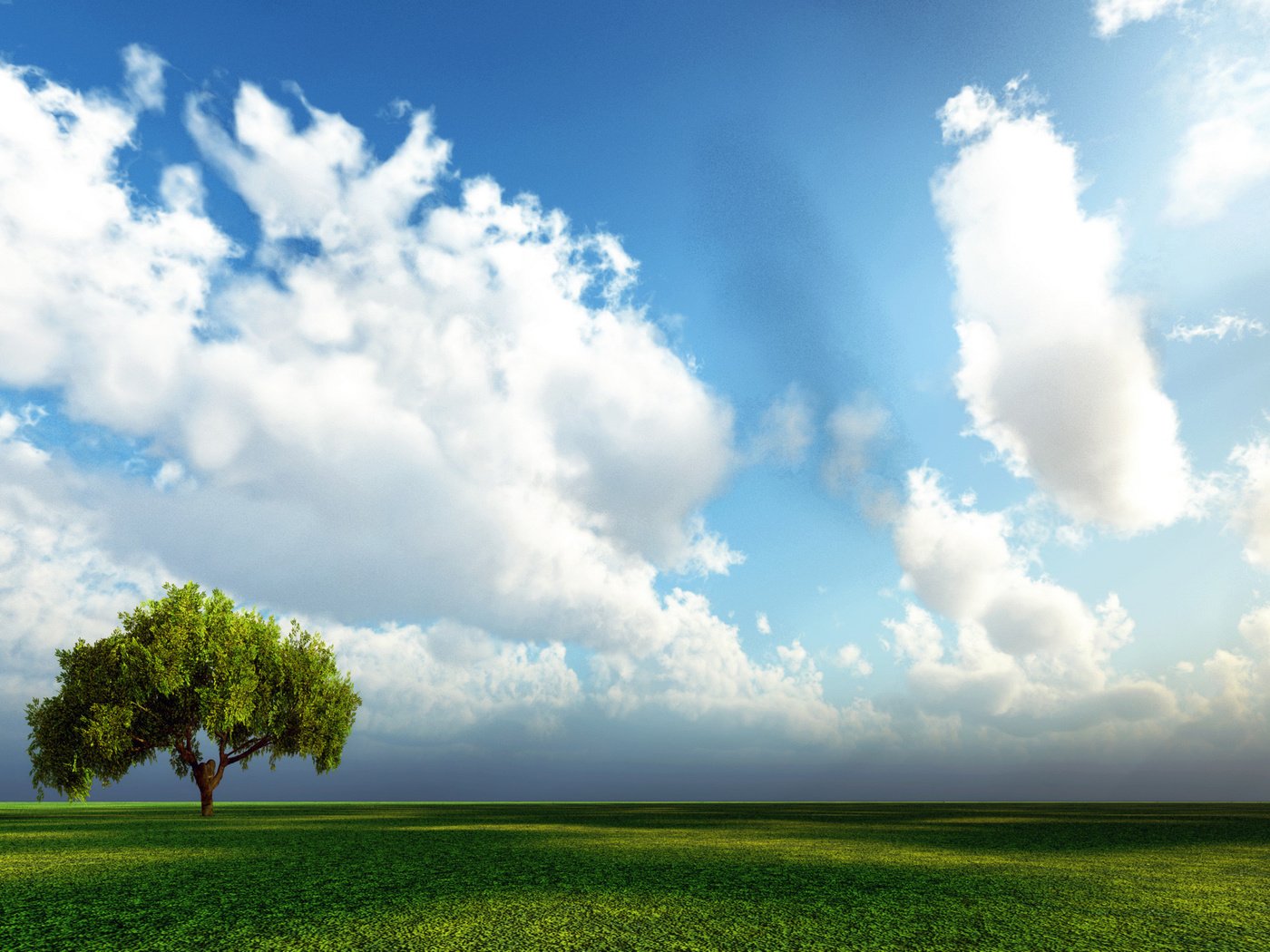 Обои небо, трава, дерево, поле, the sky, grass, tree, field разрешение 2560x1600 Загрузить