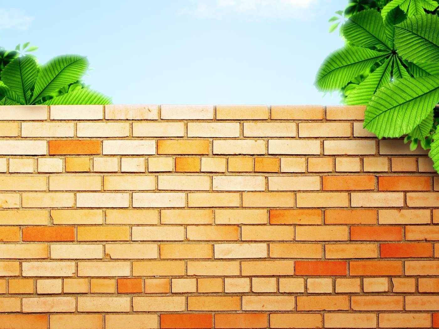 Обои зелень, стена, кирпичи, greens, wall, bricks разрешение 1920x1600 Загрузить