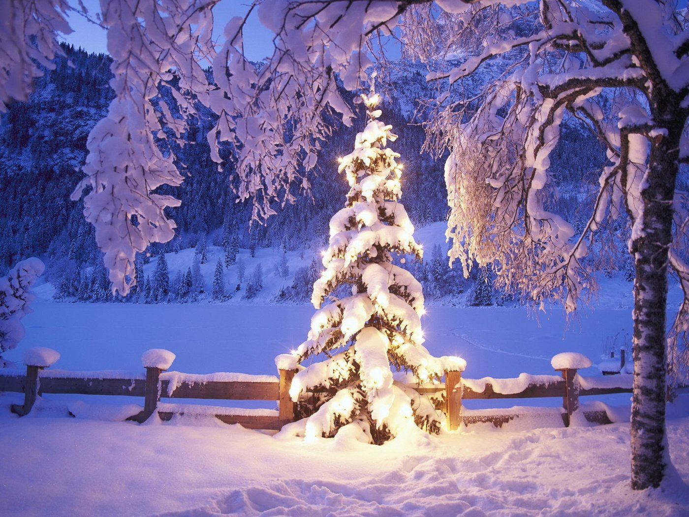 Обои огни, снег, елка, зима, lights, snow, tree, winter разрешение 1992x1333 Загрузить