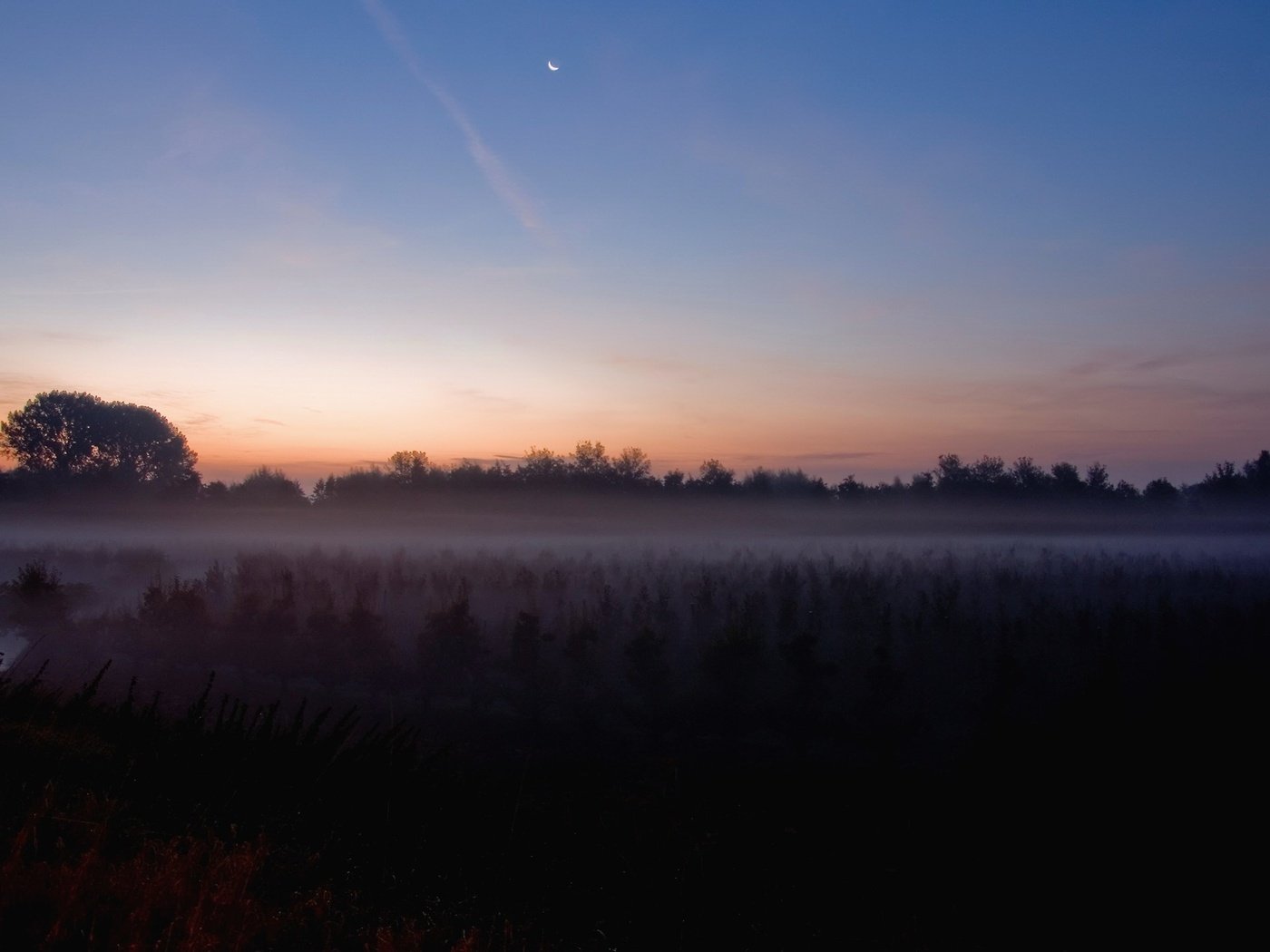 Обои туман, поле, луна, fog, field, the moon разрешение 1920x1440 Загрузить